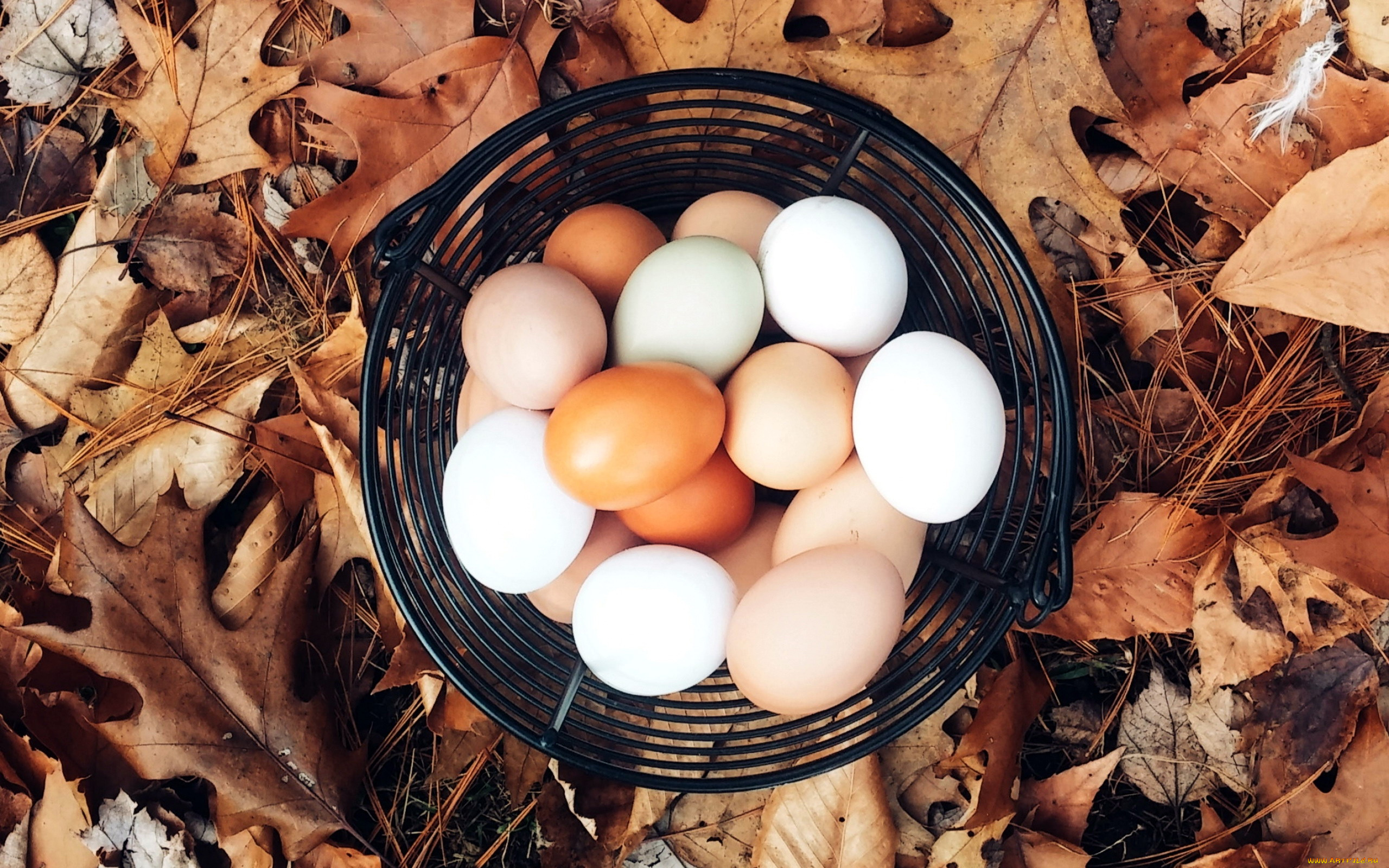 еда, Яйца, корзинка, яйца, листья, осень
