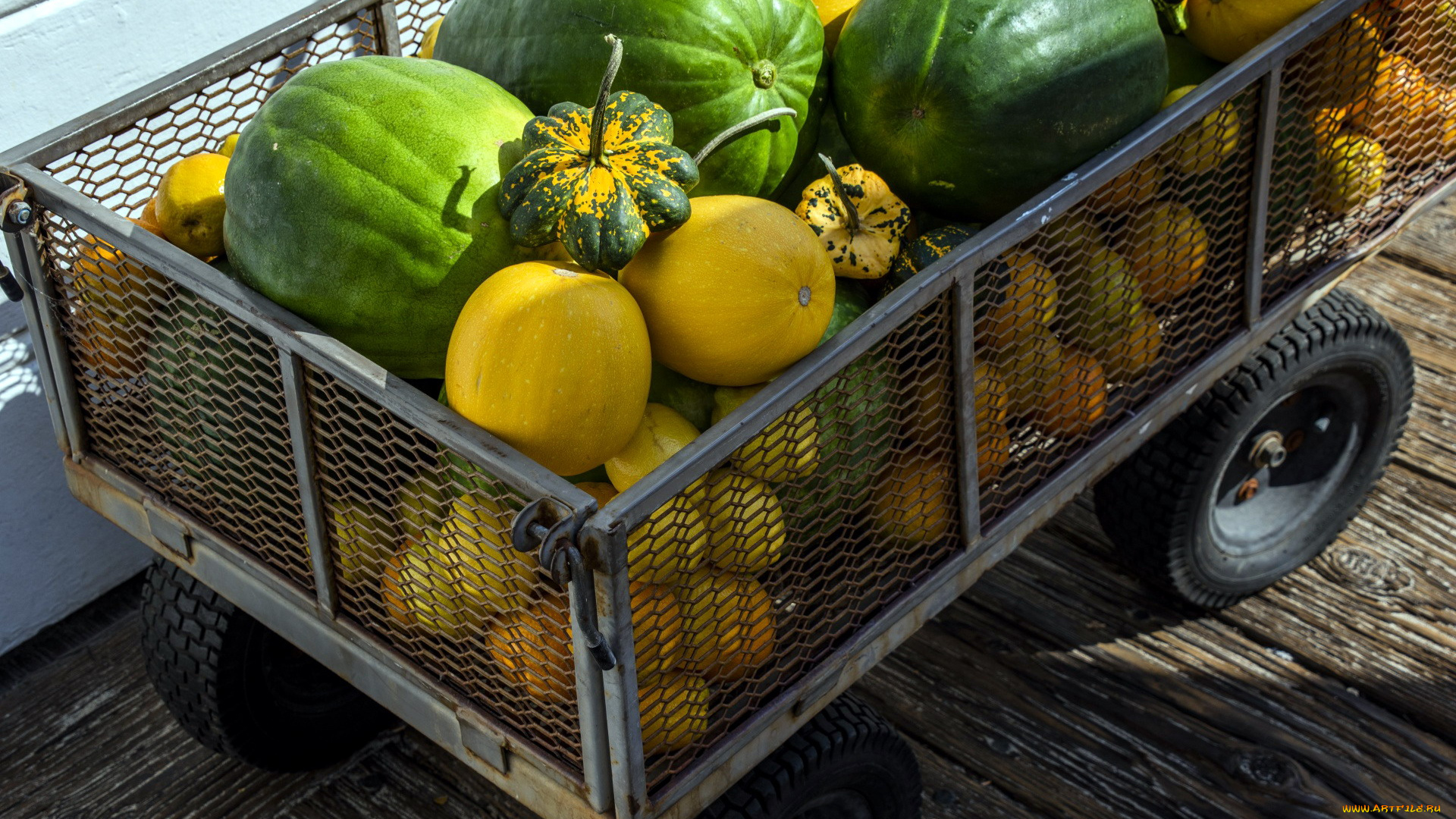 еда, фрукты, и, овощи, вместе, арбуз, тыква, дыня