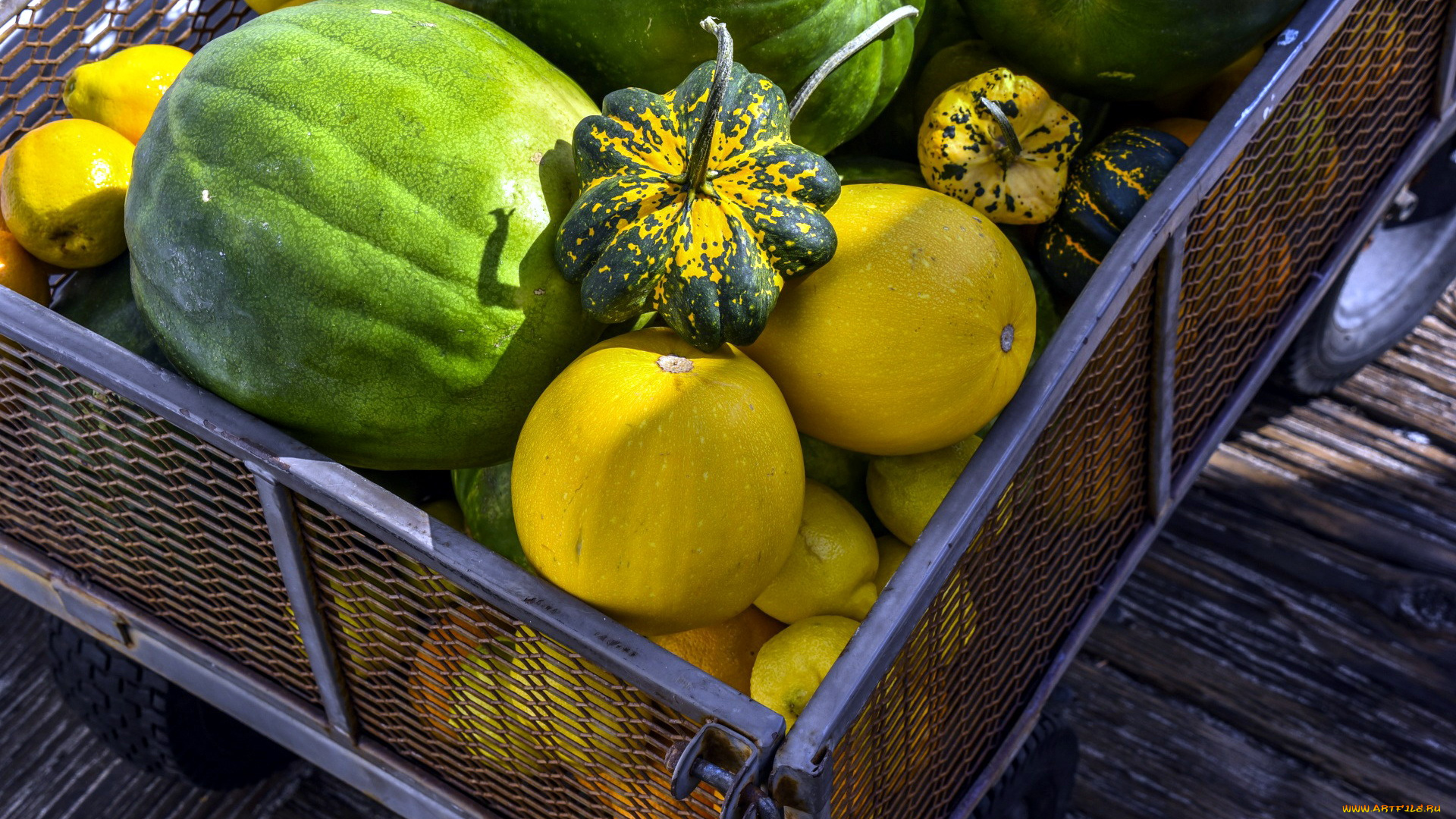 еда, фрукты, и, овощи, вместе, дыня, тыква, арбуз