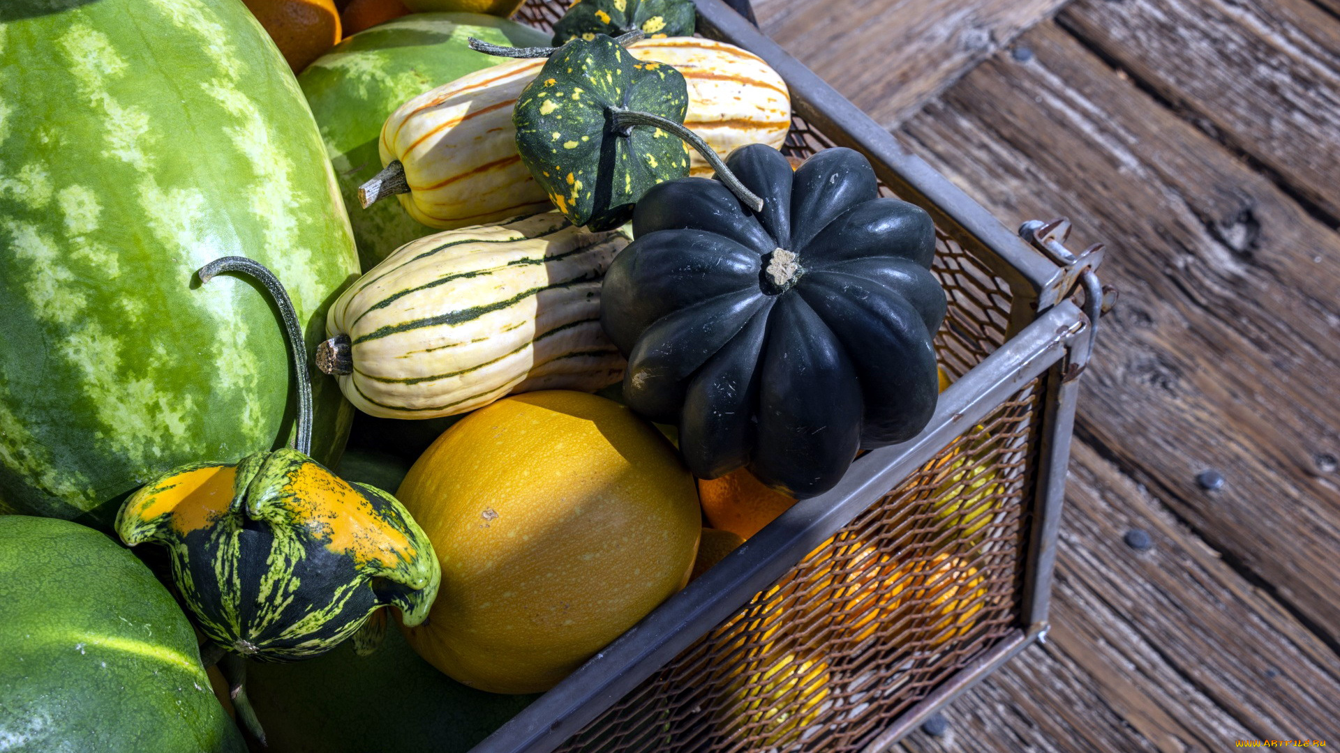 еда, фрукты, и, овощи, вместе, тыква, дыня, арбуз