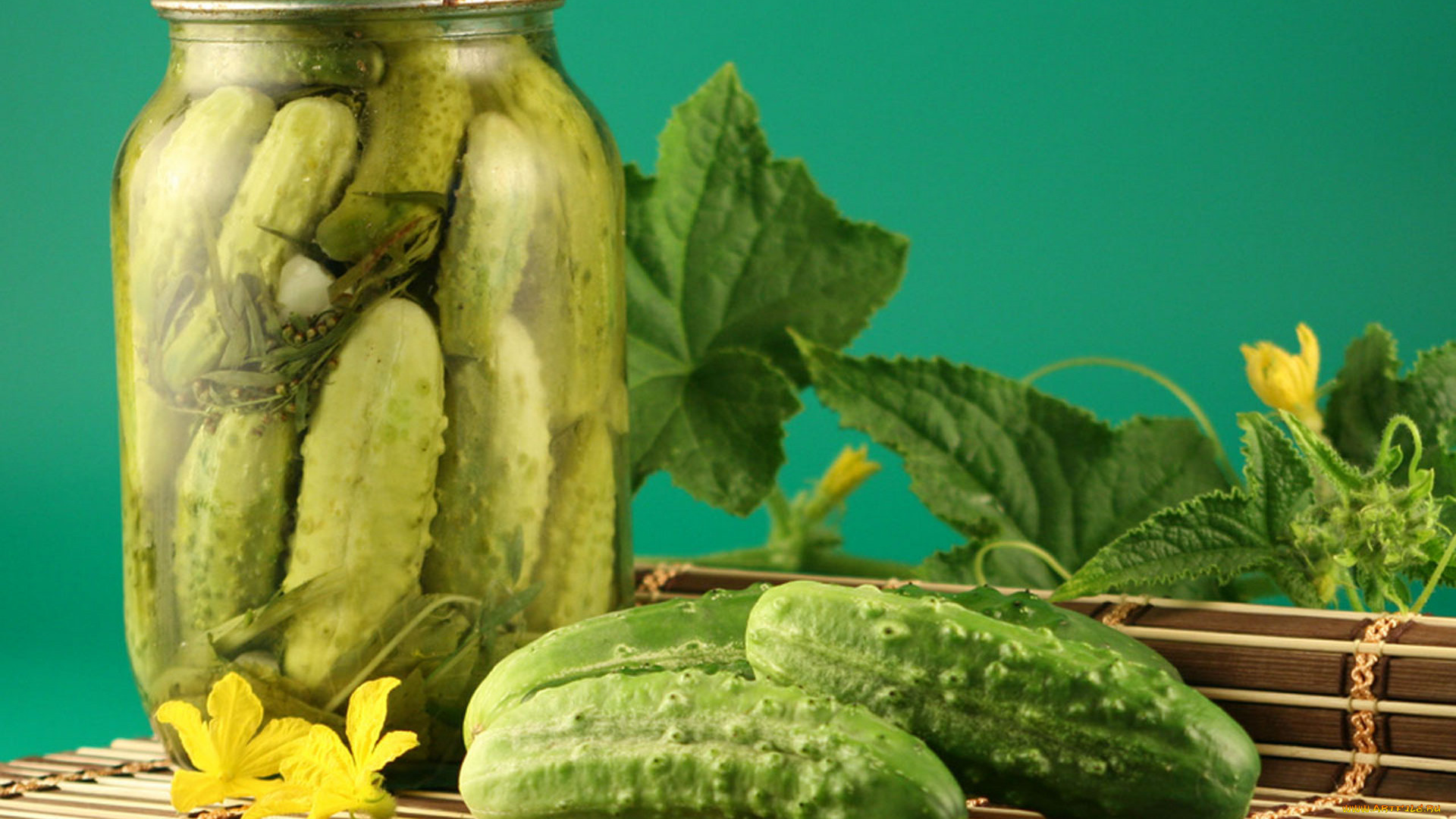 еда, консервация, огурцы, банка