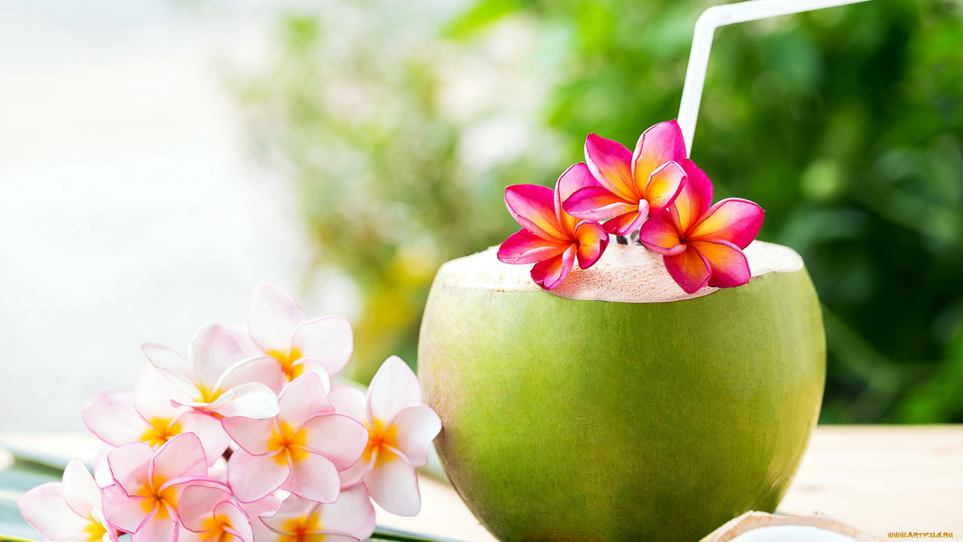 еда, напитки, , коктейль, коктейль