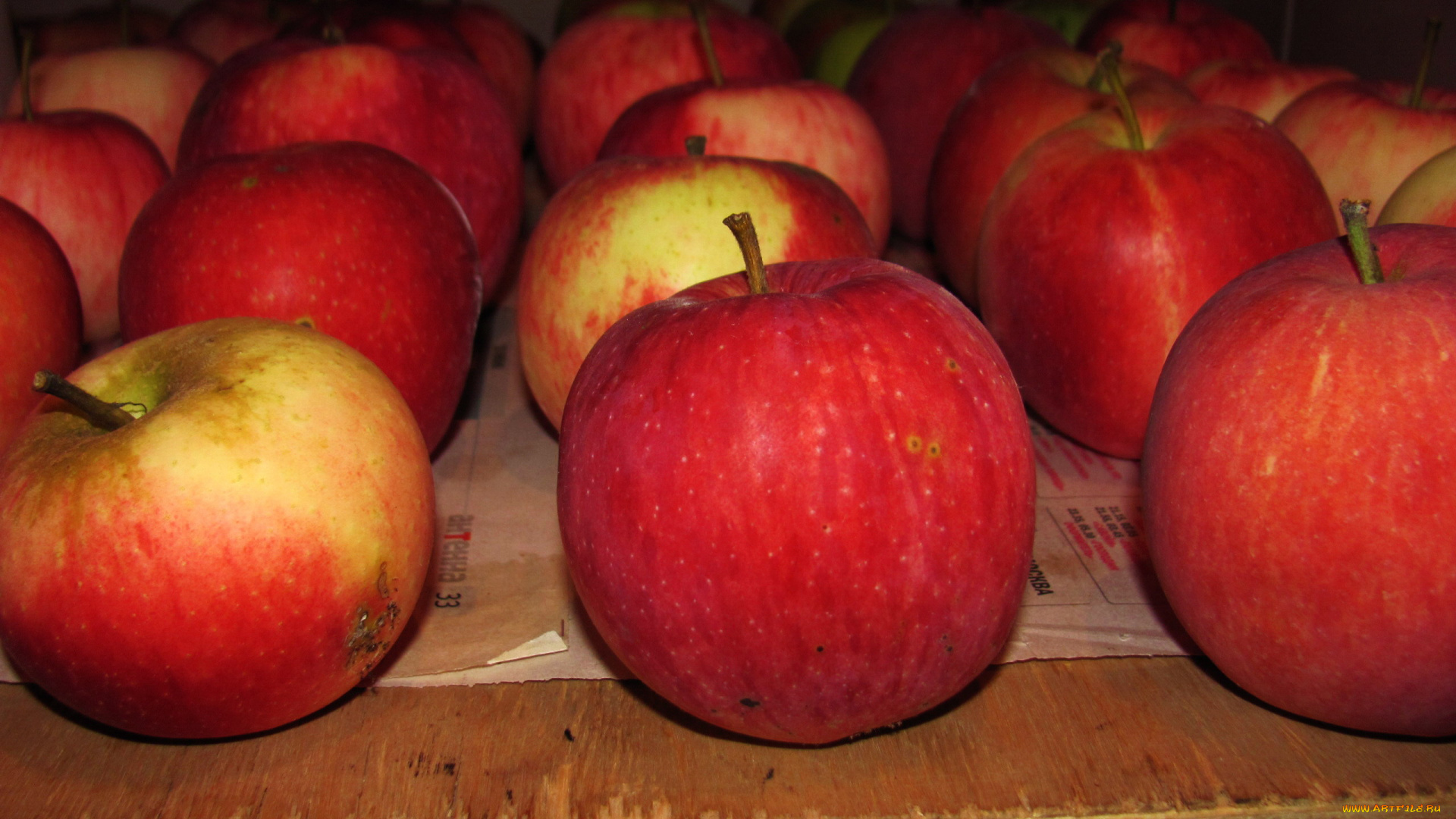 еда, яблоки, краснобокие