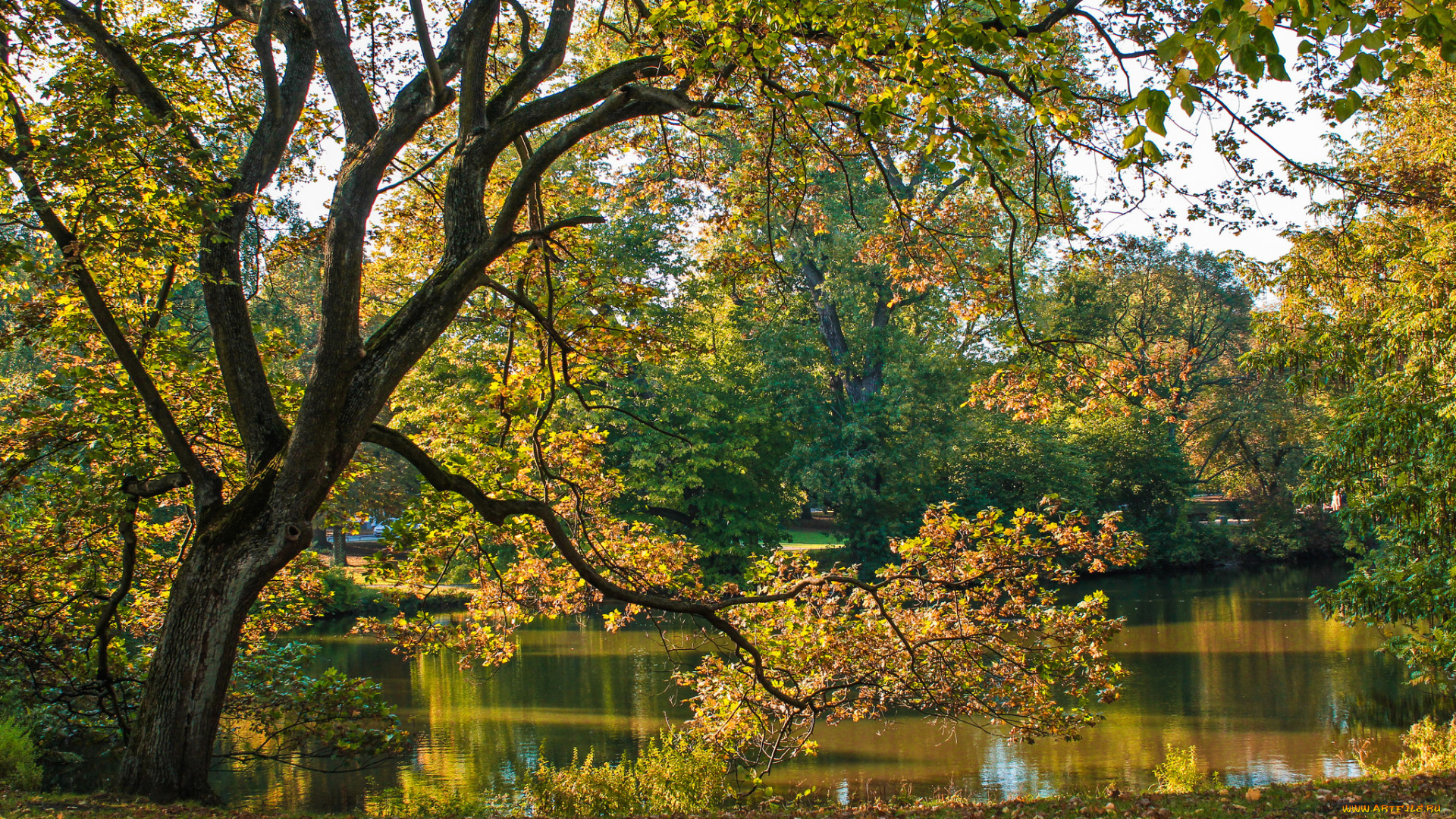природа, реки, озера, простор
