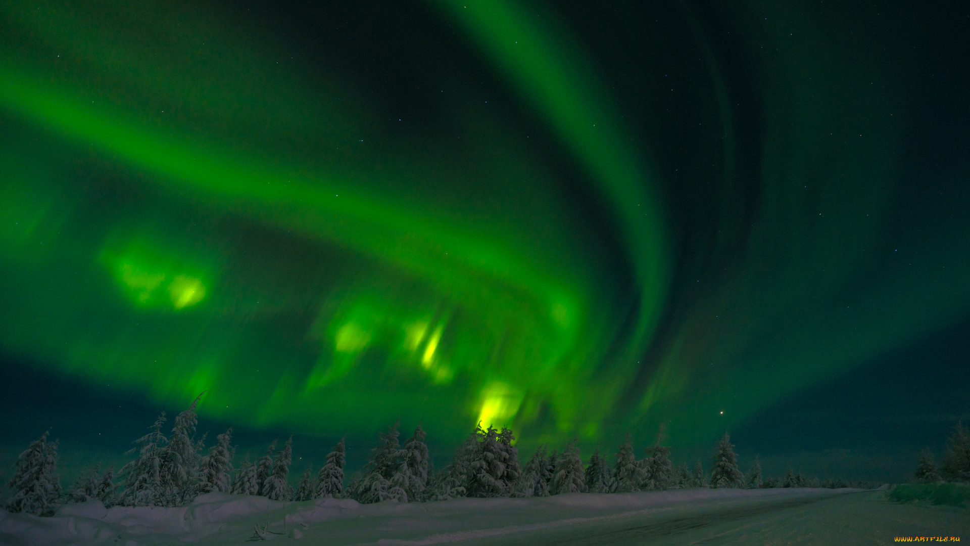 природа, северное, сияние, сибирь, якутия, россия, северное, сияние, звёзды, ночь, деревья, снег