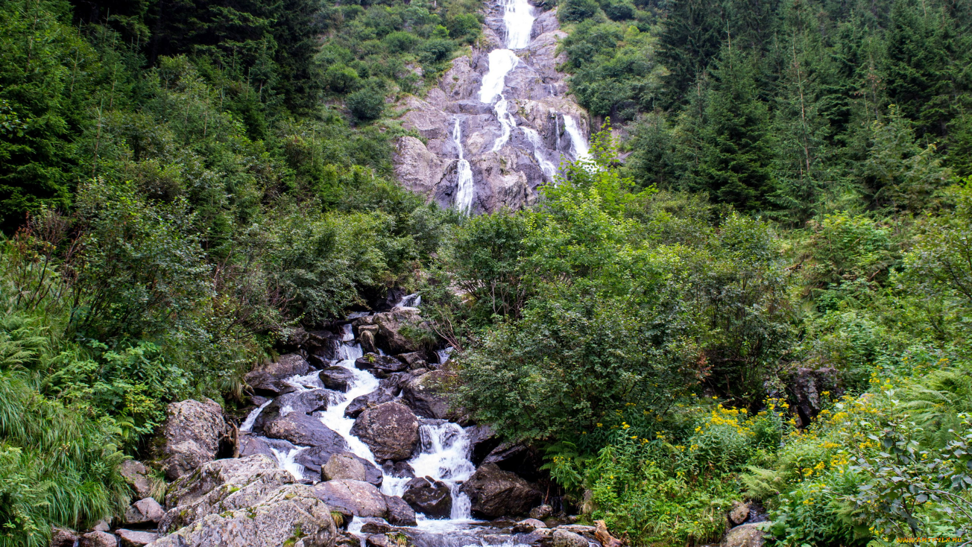 природа, водопады, водопад