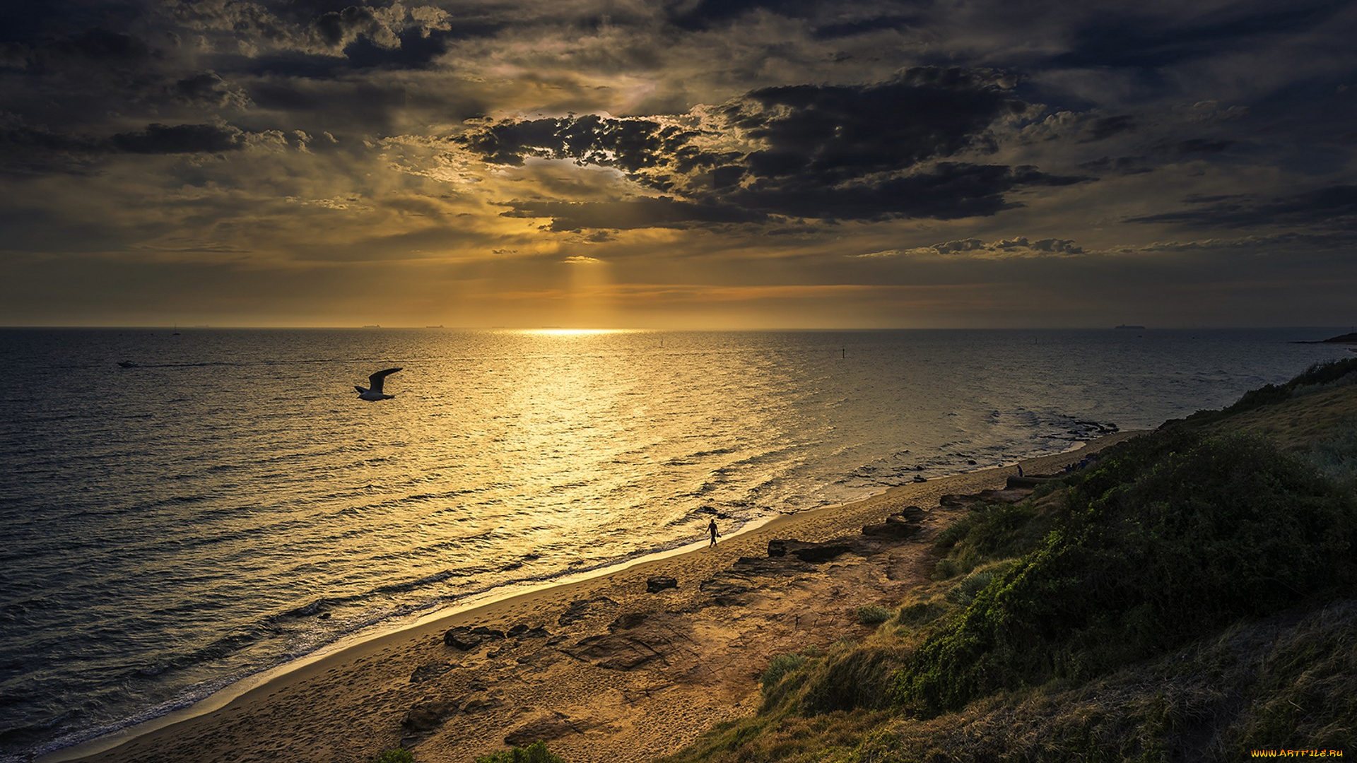 природа, восходы, закаты, простор