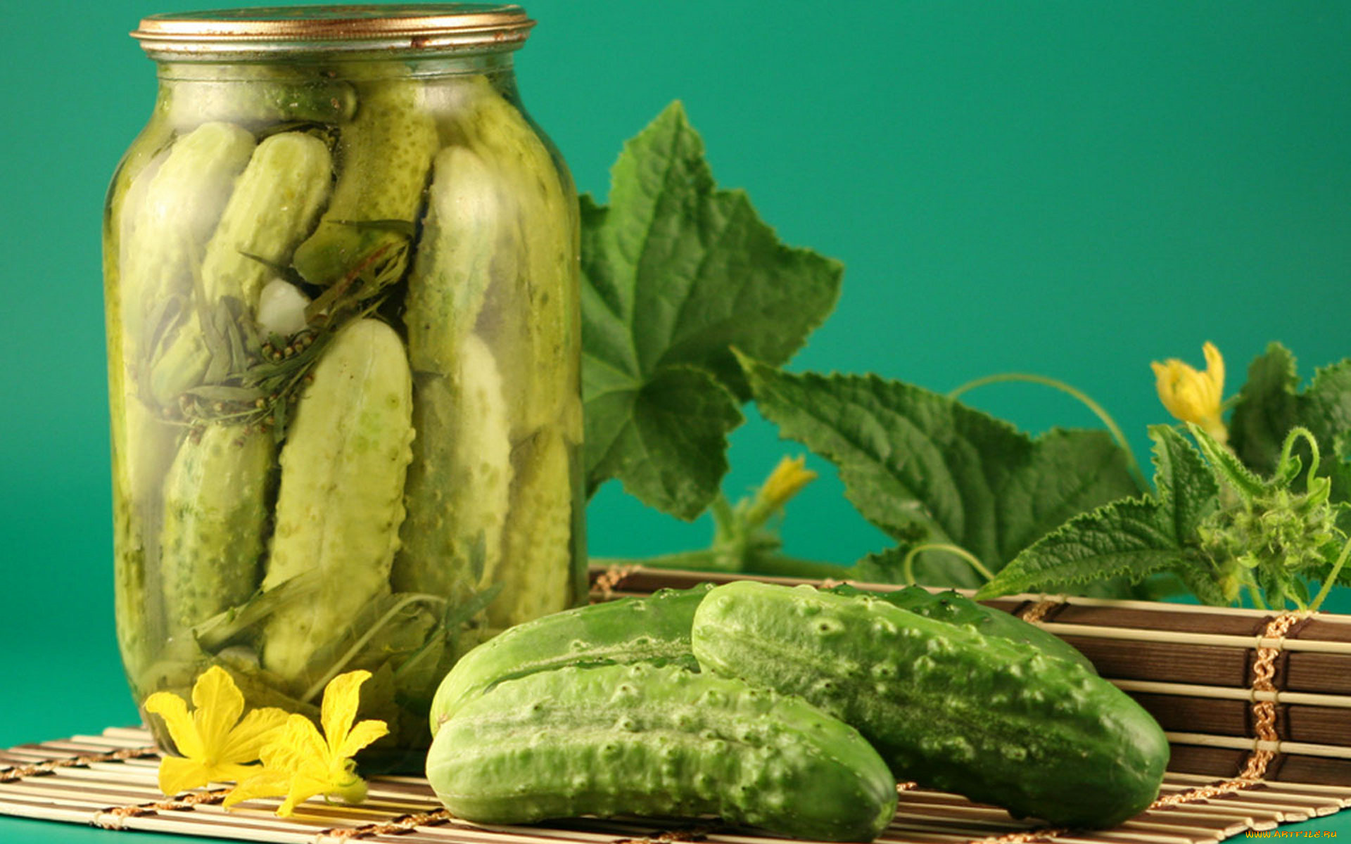 еда, консервация, огурцы, банка