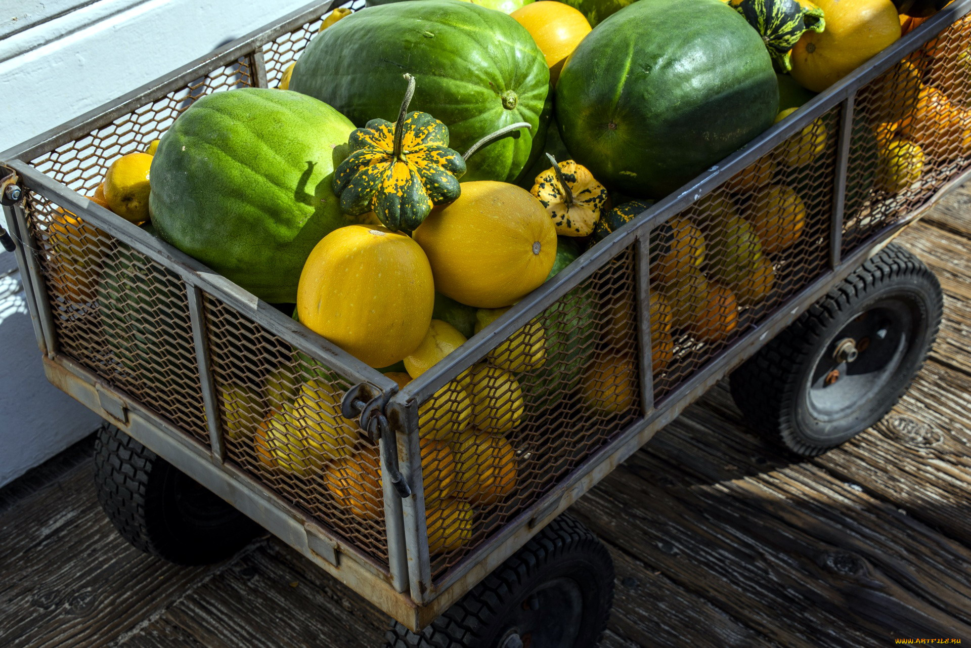 еда, фрукты, и, овощи, вместе, арбуз, тыква, дыня