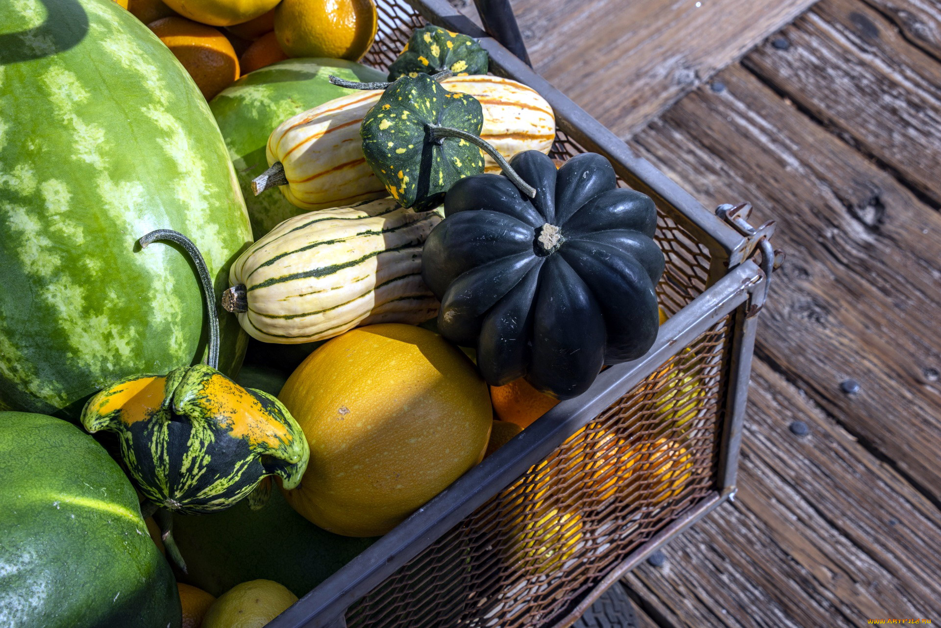 еда, фрукты, и, овощи, вместе, тыква, дыня, арбуз