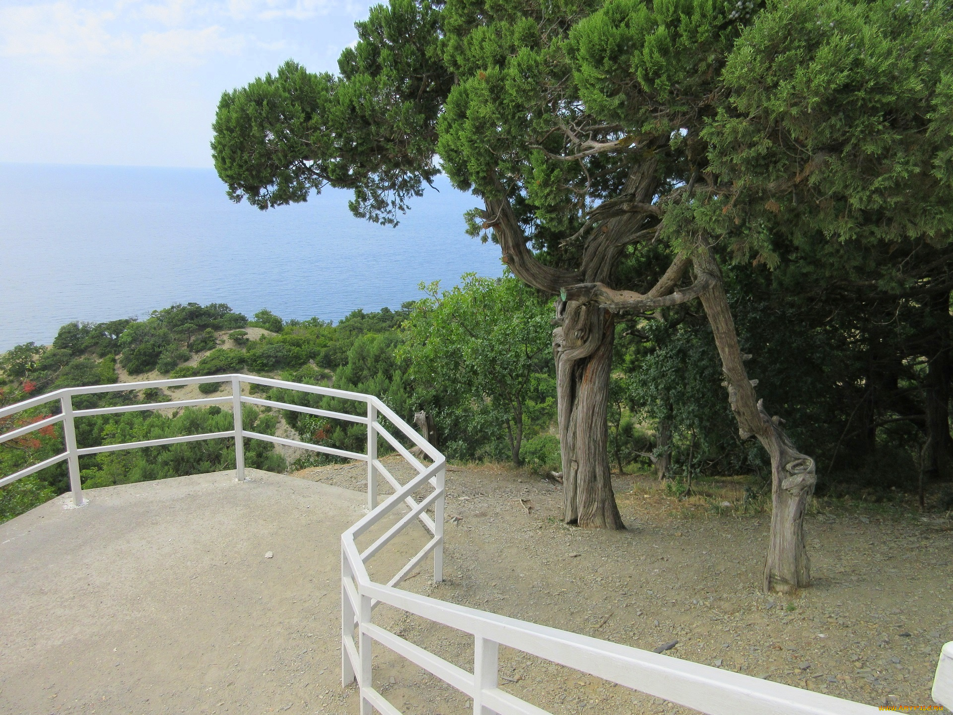 природа, парк, анапа, краснодарский, край, сукко