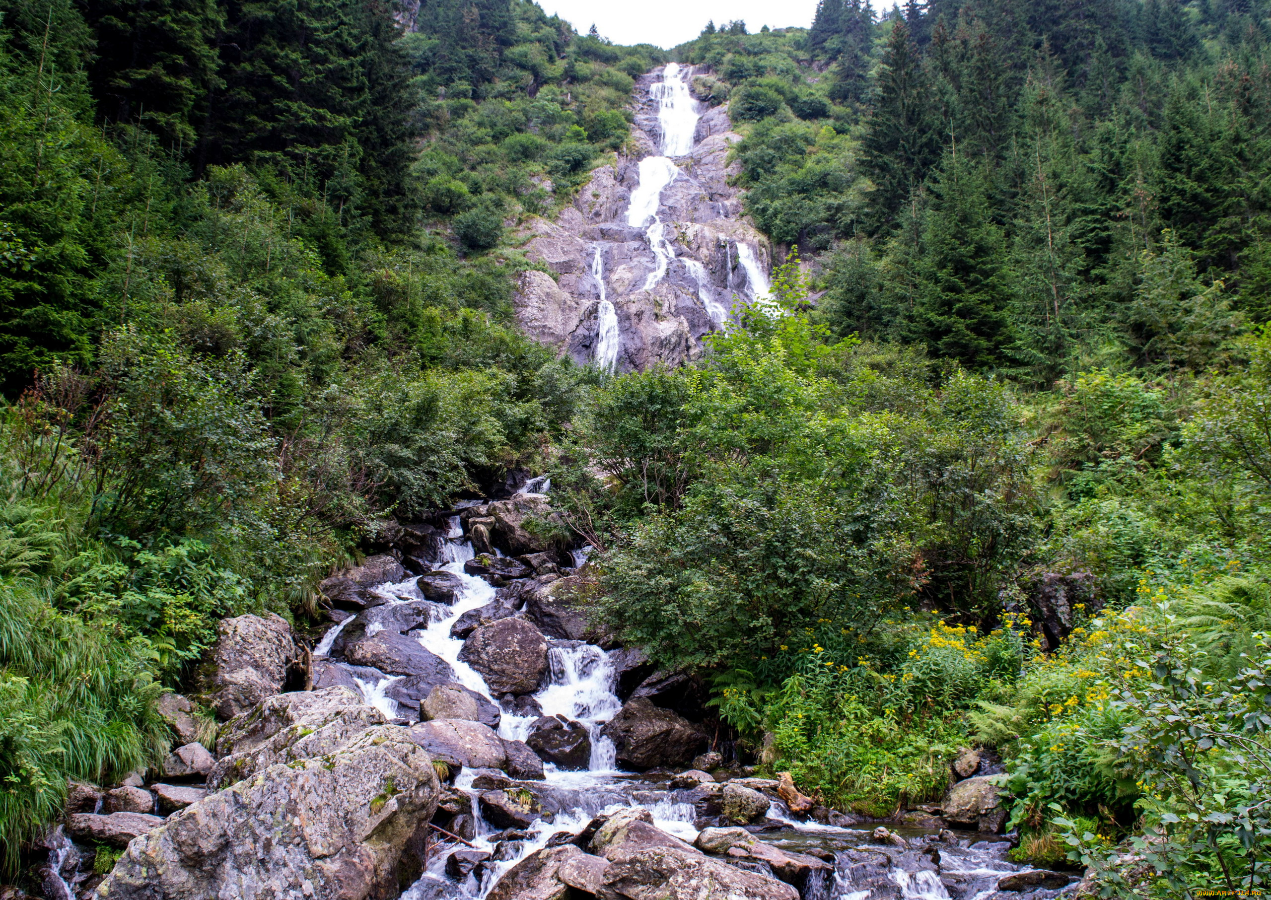 природа, водопады, водопад