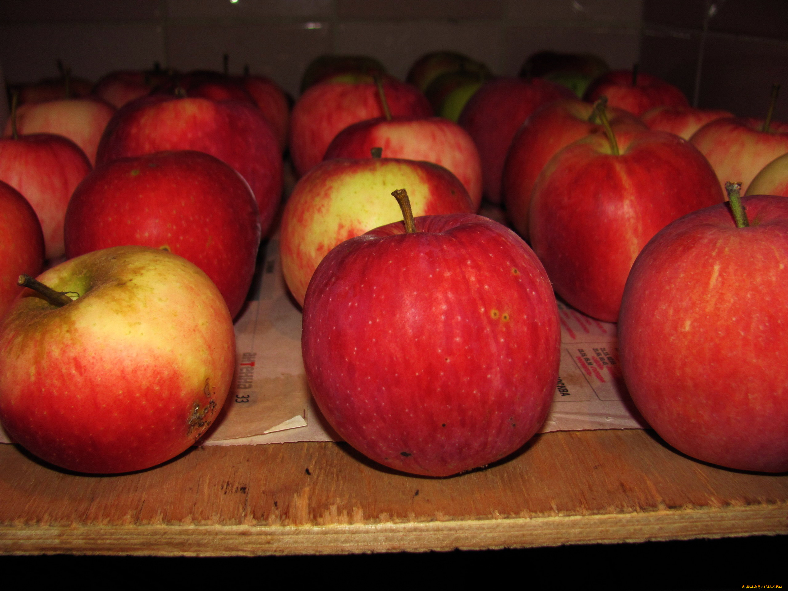 еда, яблоки, краснобокие