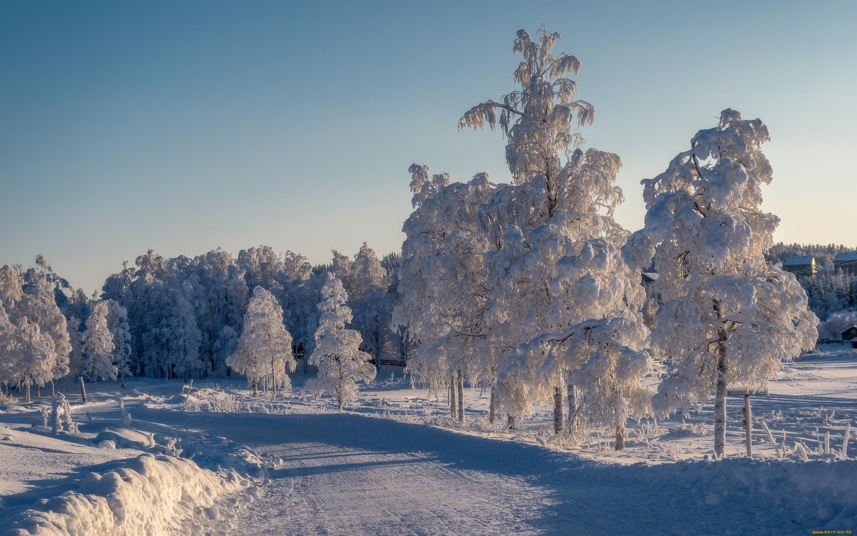 природа, зима, деревья, снег