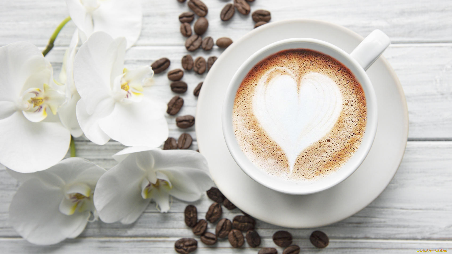 еда, кофе, , кофейные, зёрна, сердце, чашка, белая, орхидея
