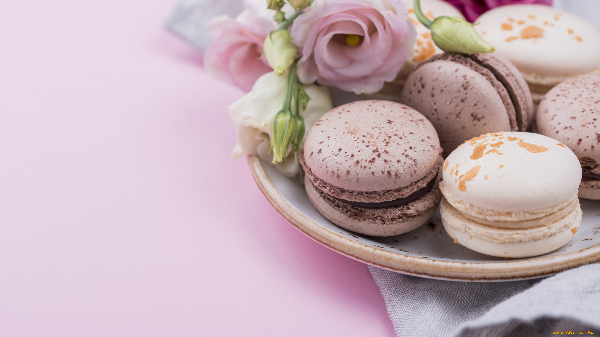 еда, макаруны, розы, печенье, тарелка, macarons