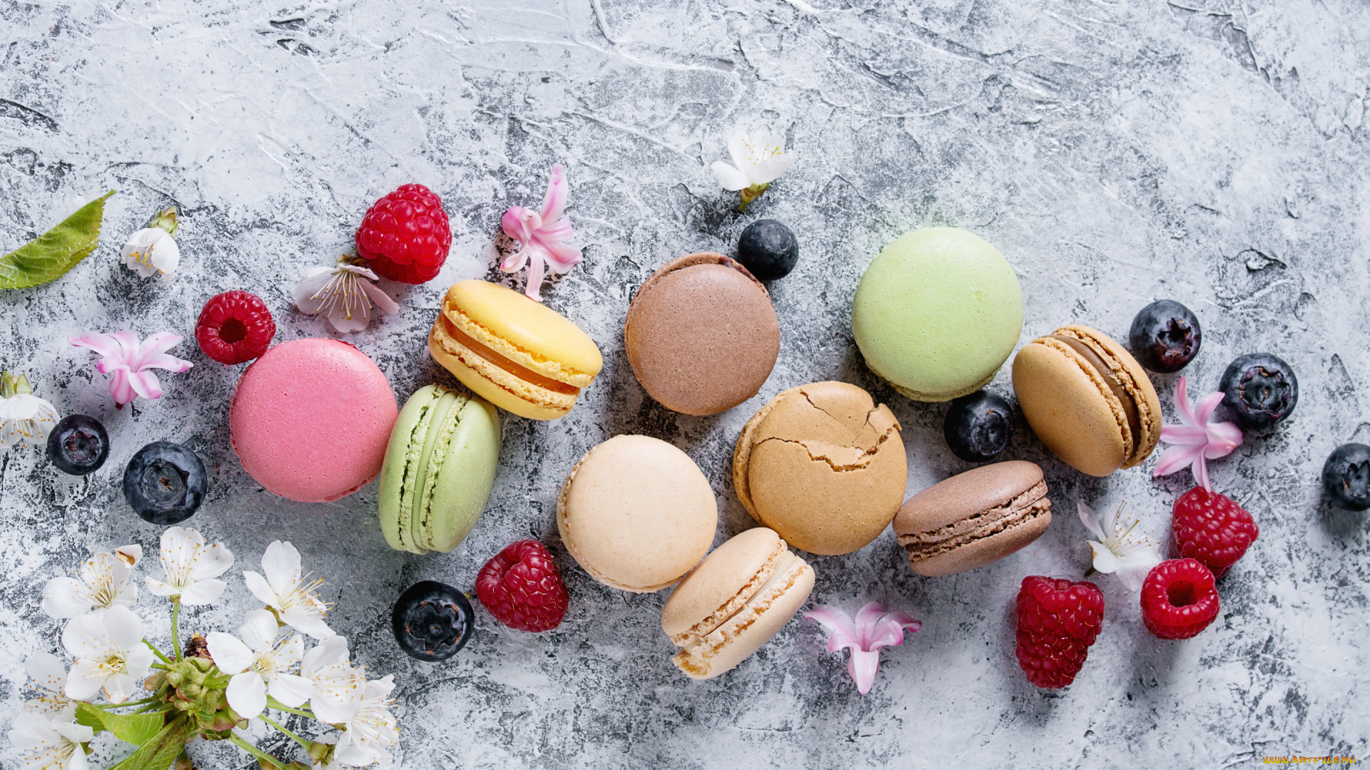 еда, макаруны, ягоды, colorful, flowers, fruit, berries, macaroons, macaron