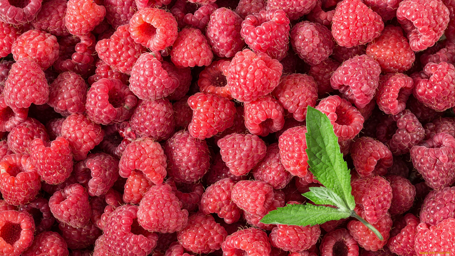 еда, малина, цветы, яйца, букет, пасха, тюльпаны, white, happy, wood, flowers, tulips, easter, eggs, decoration