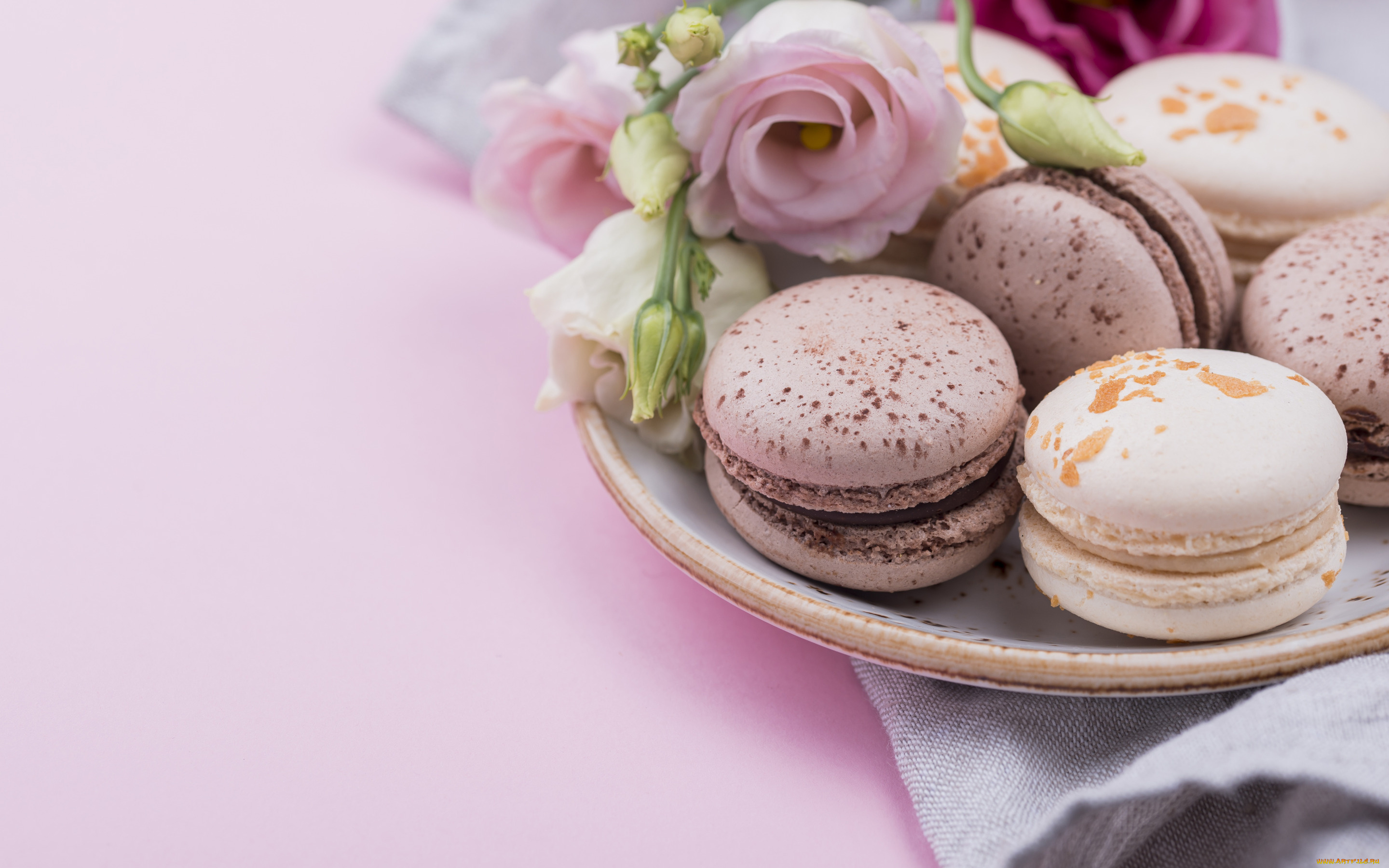 еда, макаруны, розы, печенье, тарелка, macarons