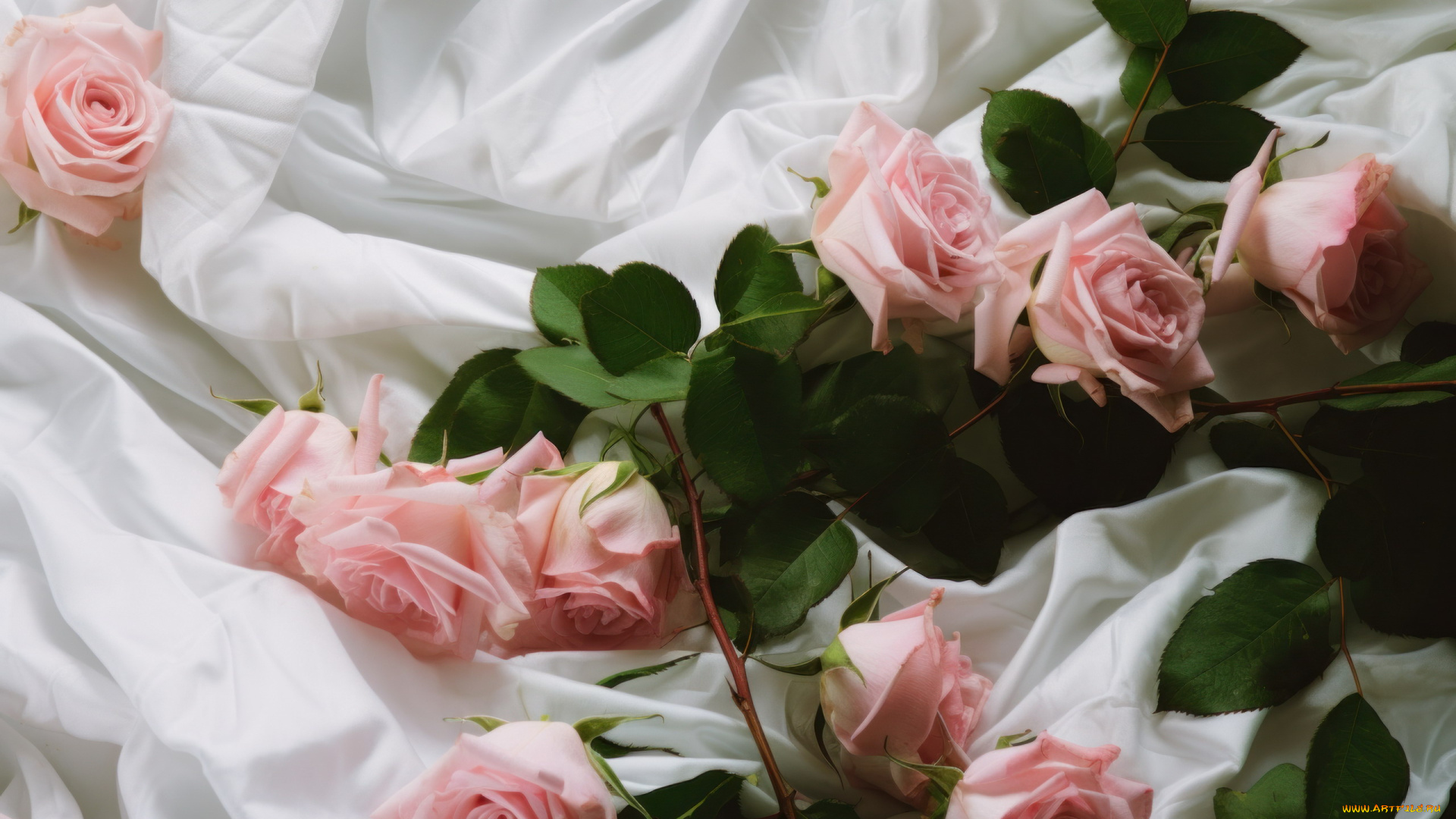 3д, графика, цветы, , flowers, розы