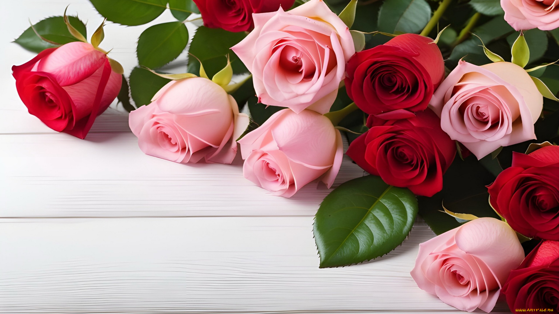 3д, графика, цветы, , flowers, розы