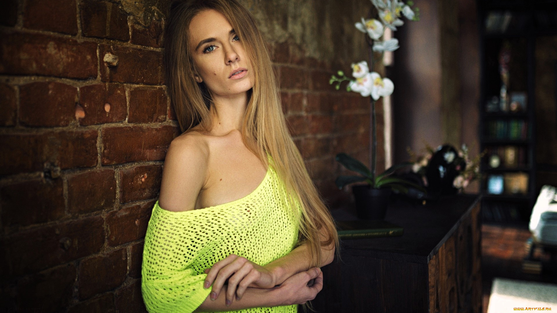 девушки, -, блондинки, , светловолосые, блондинка, свитер, стена, цветы