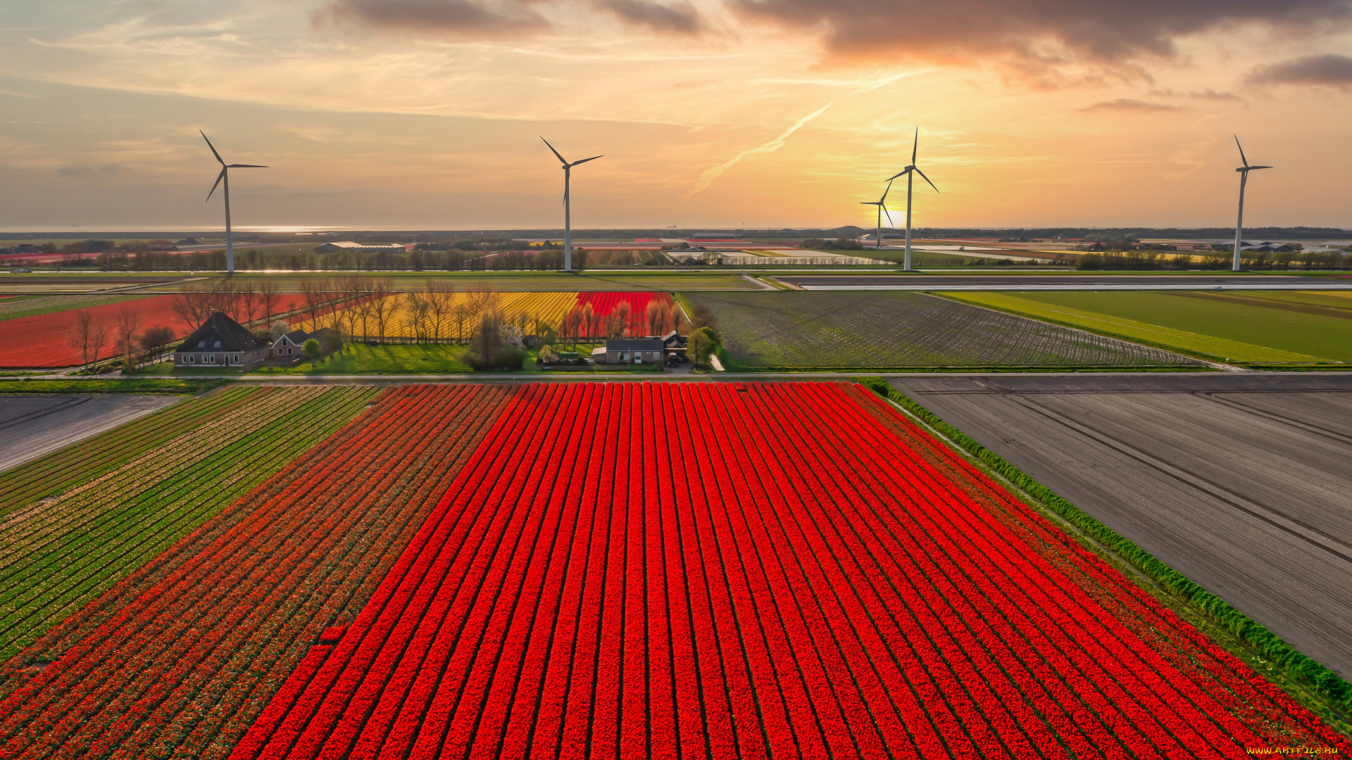 разное, ветрогенераторы, поле