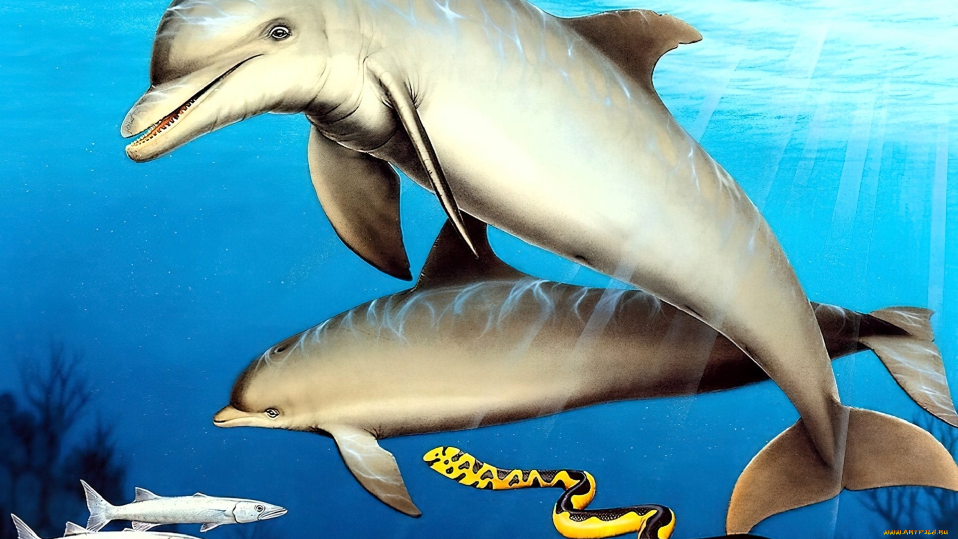 рисованное, животные, море, дельфины, змея, рыбы
