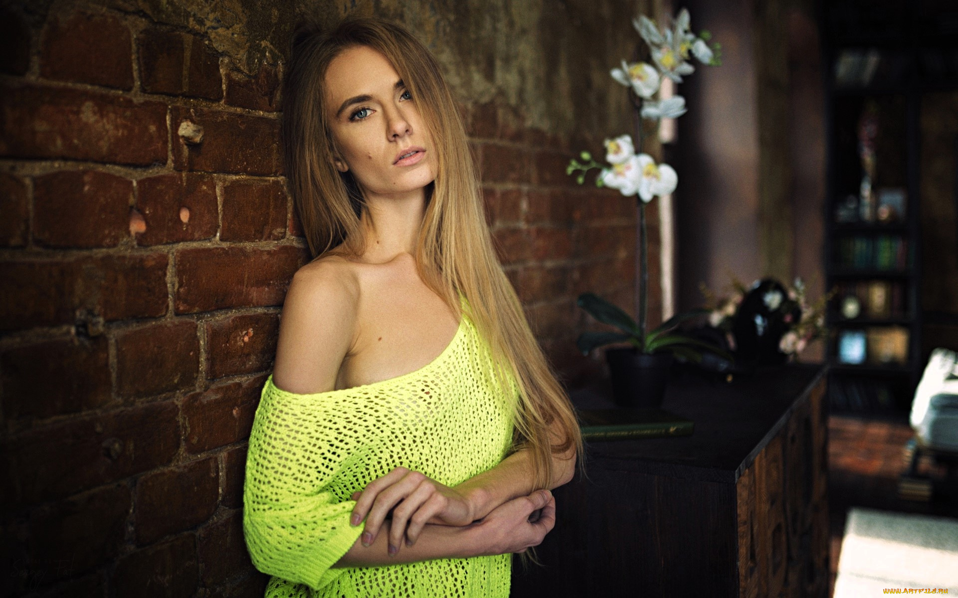 девушки, -, блондинки, , светловолосые, блондинка, свитер, стена, цветы