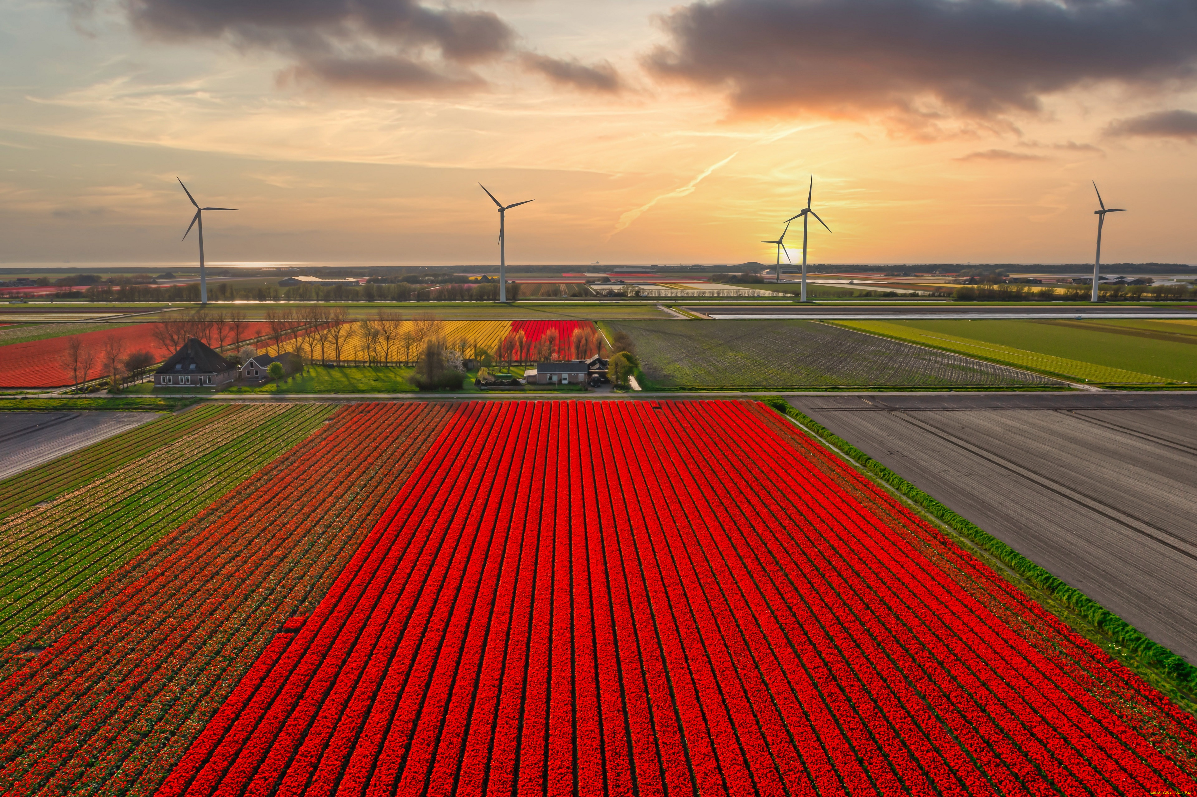разное, ветрогенераторы, поле