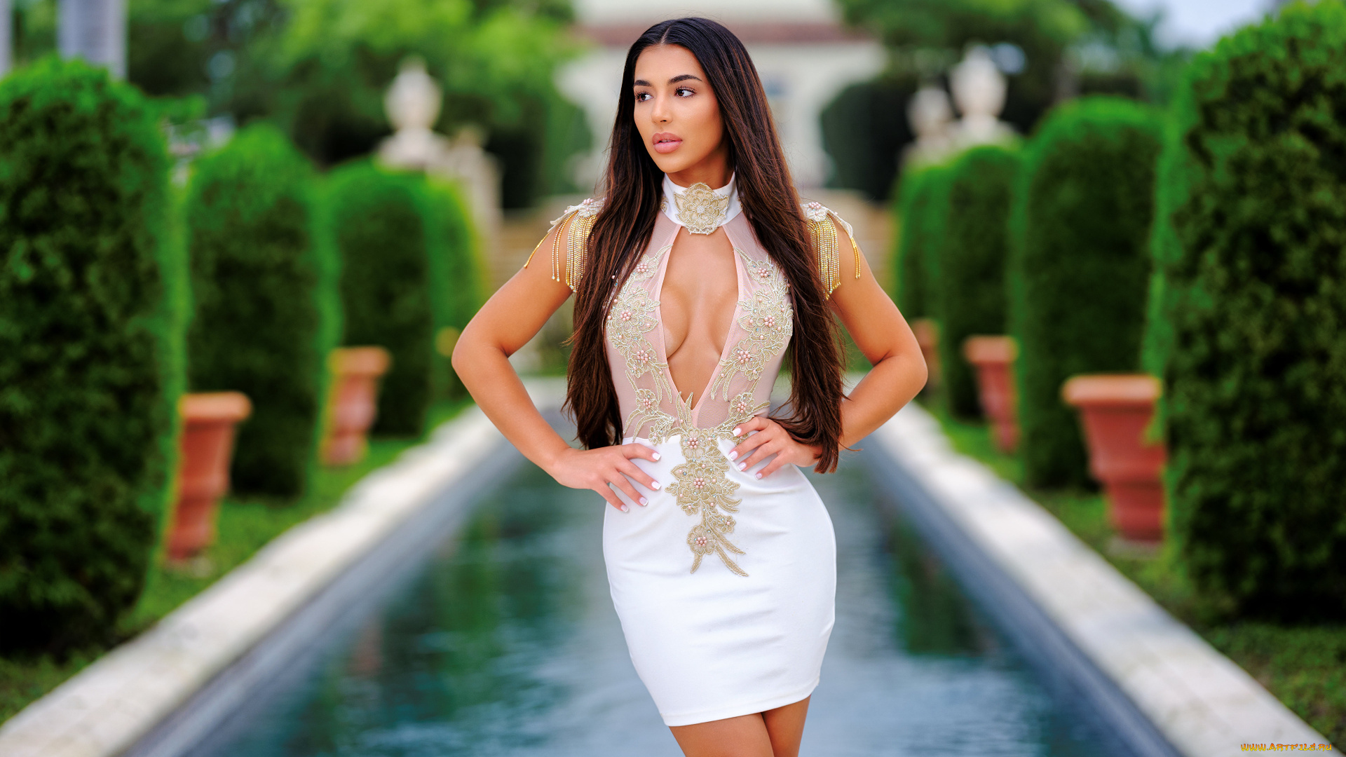 девушки, -, брюнетки, , шатенки, девушка, позирует