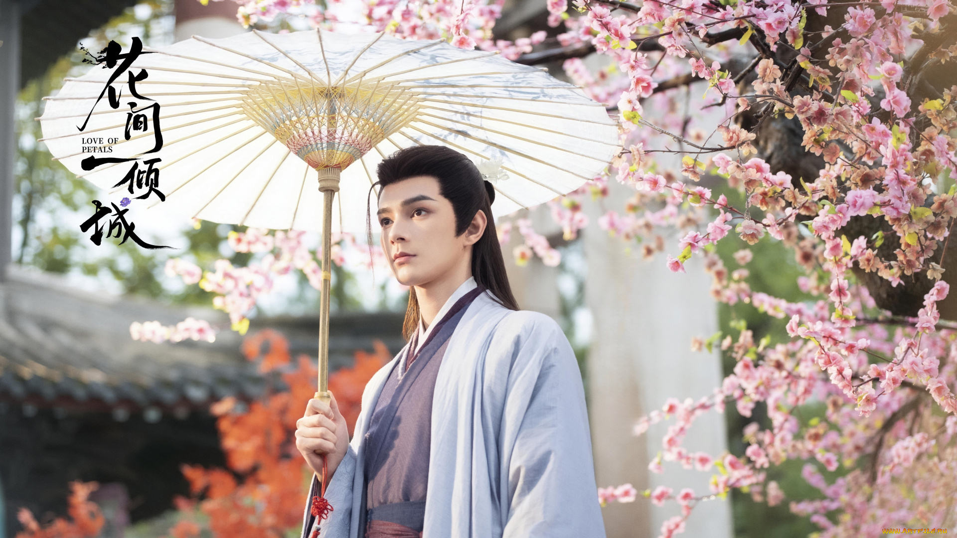 кино, фильмы, love, of, petals, love, of, petals