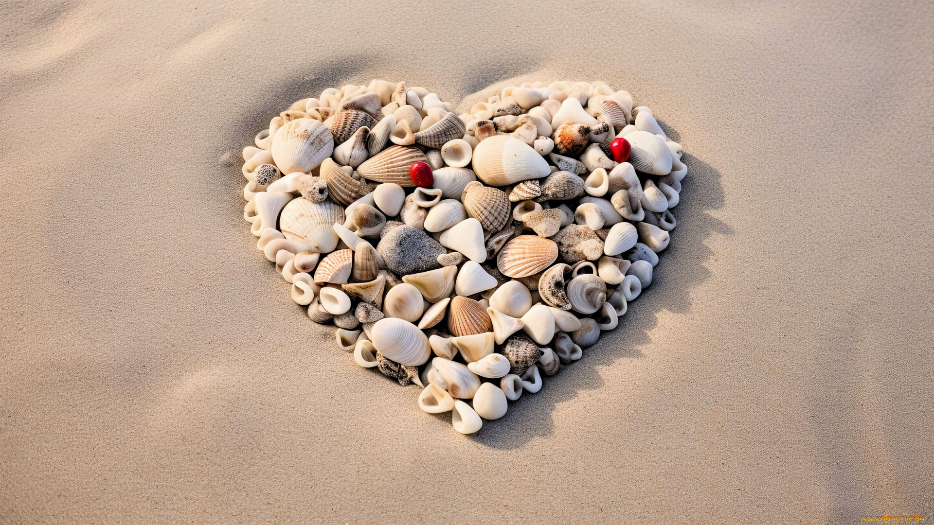 разное, ракушки, , кораллы, , декоративные, и, spa-камни, камушки, сердечко, песок