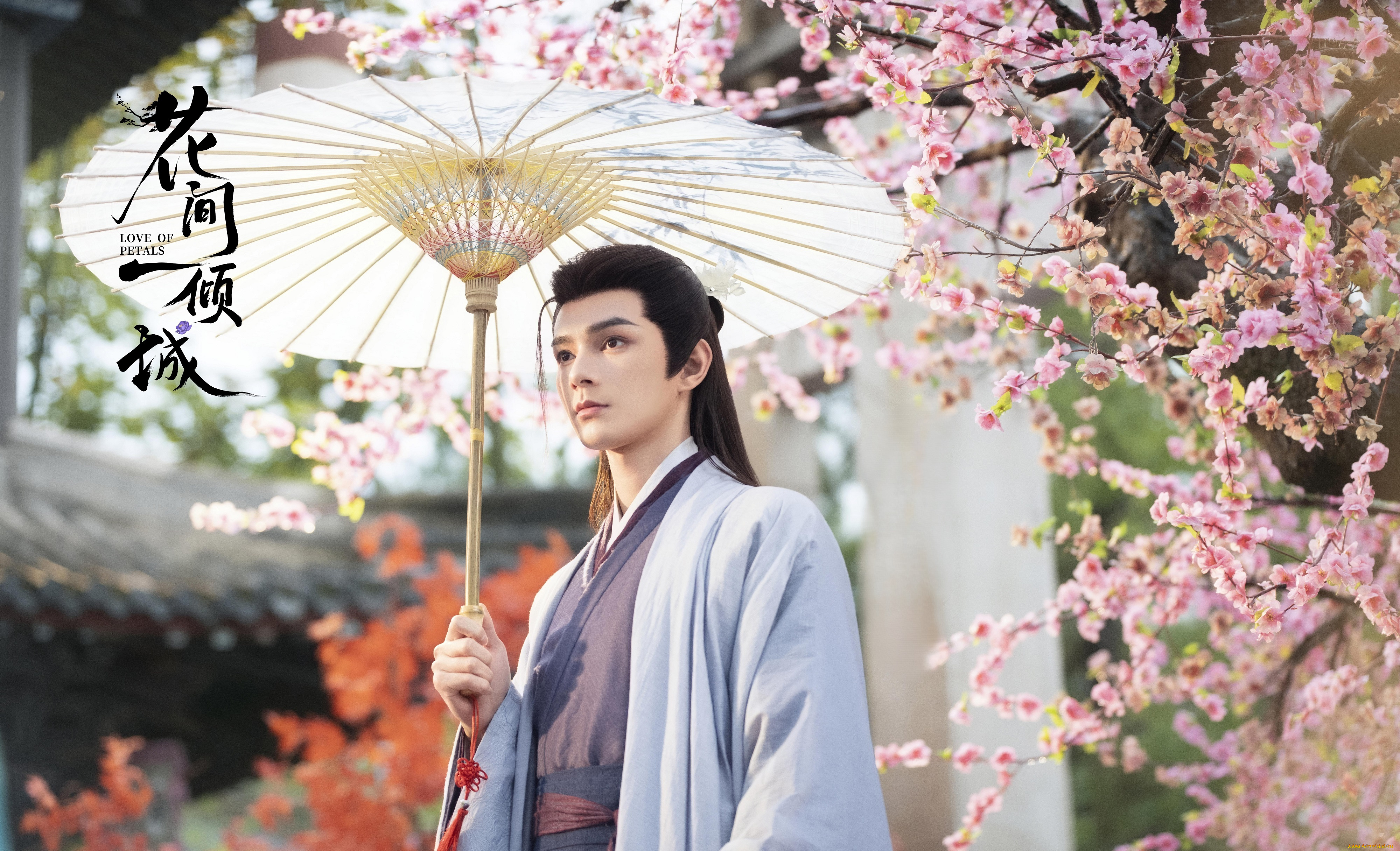 кино, фильмы, love, of, petals, love, of, petals