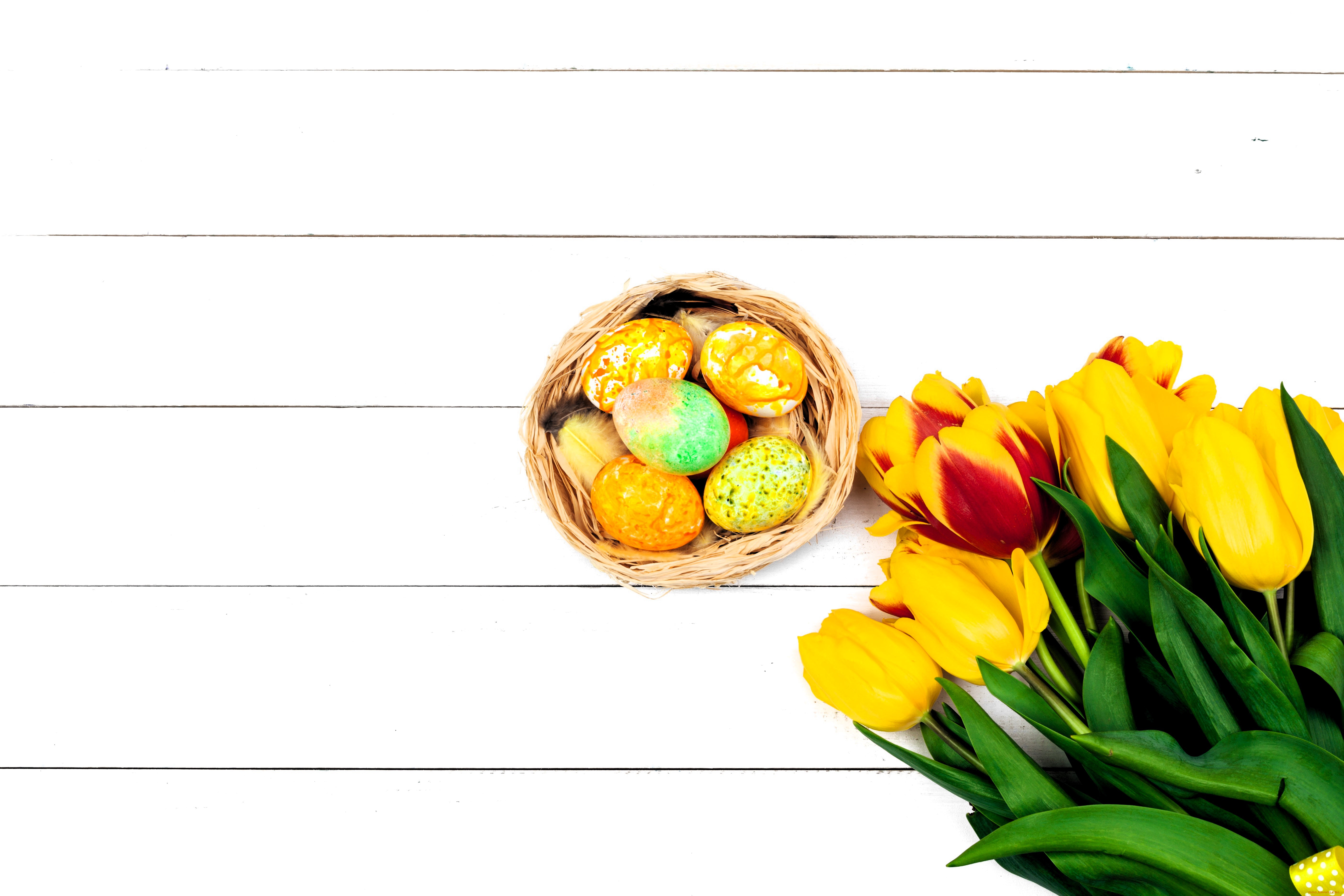 праздничные, пасха, яйца, гнездо, тюльпаны, цветы