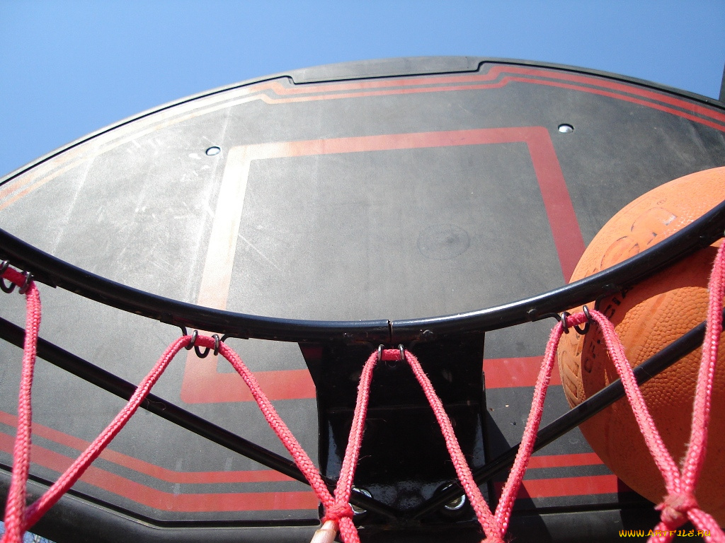 спорт, баскетбол