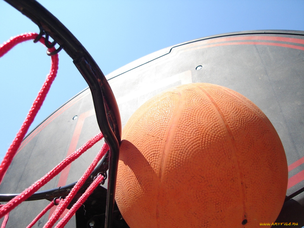 спорт, баскетбол