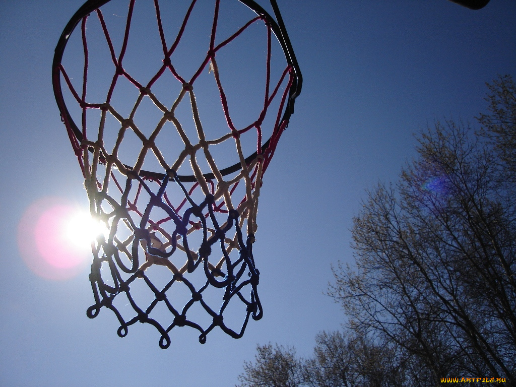 спорт, баскетбол