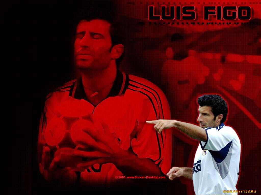 спорт, футбол