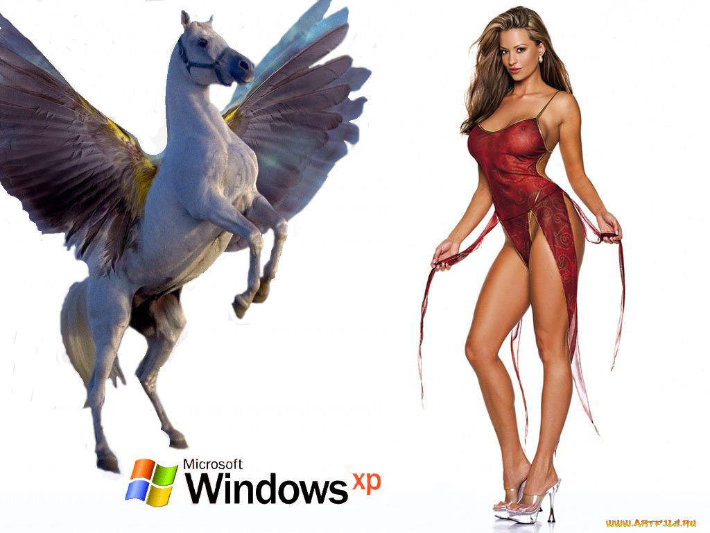 компьютеры, windows, xp