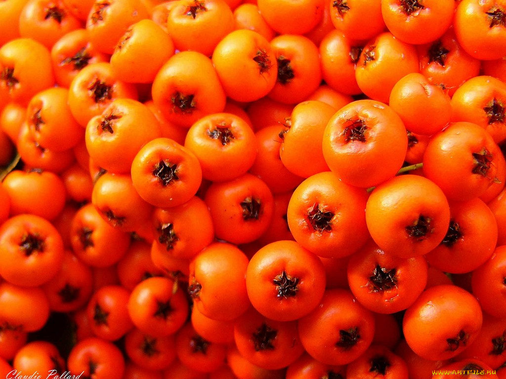 еда, фрукты, ягоды