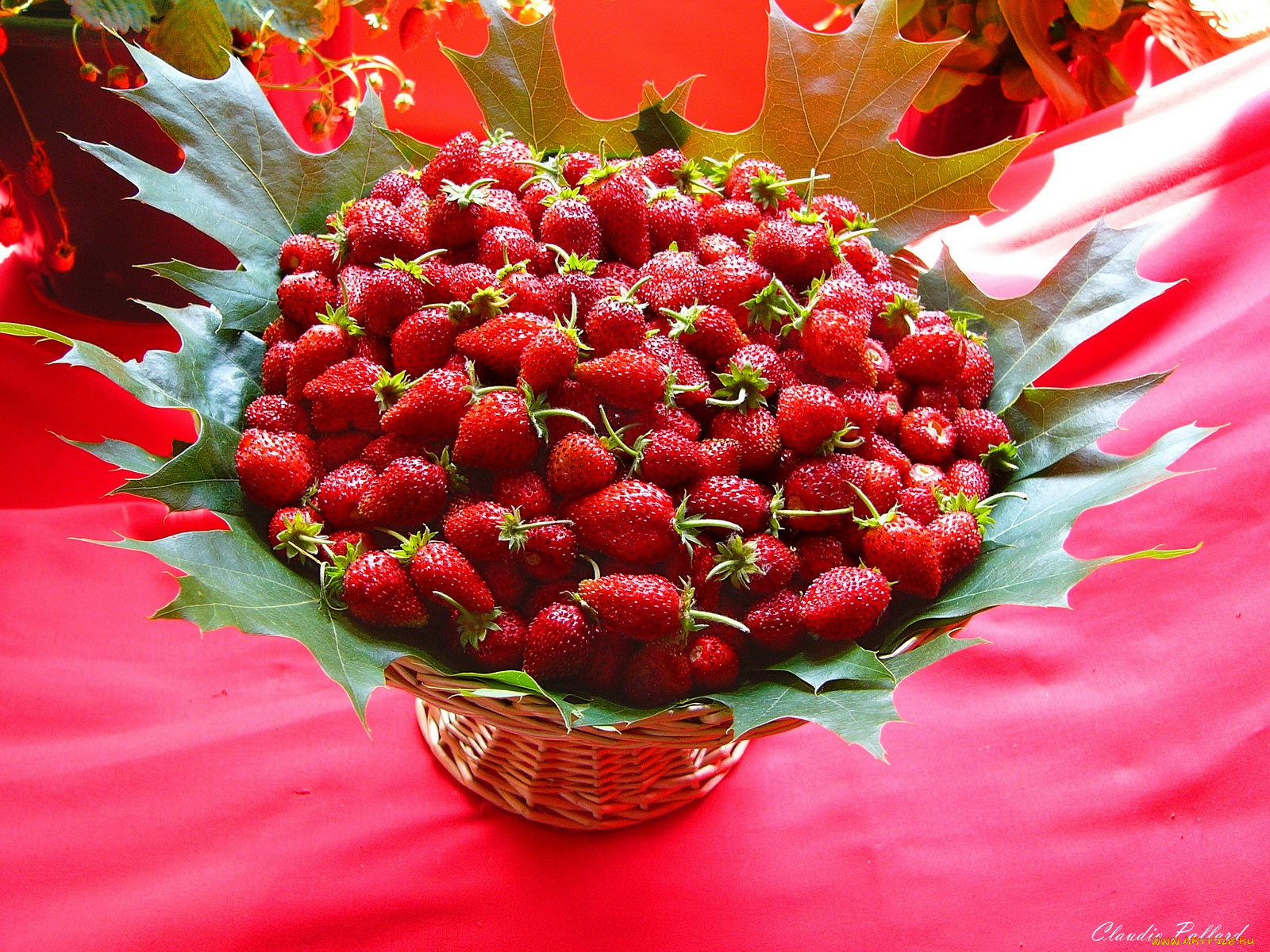 еда, клубника, земляника