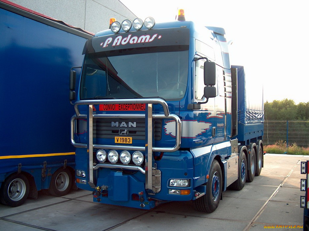 автомобили, man