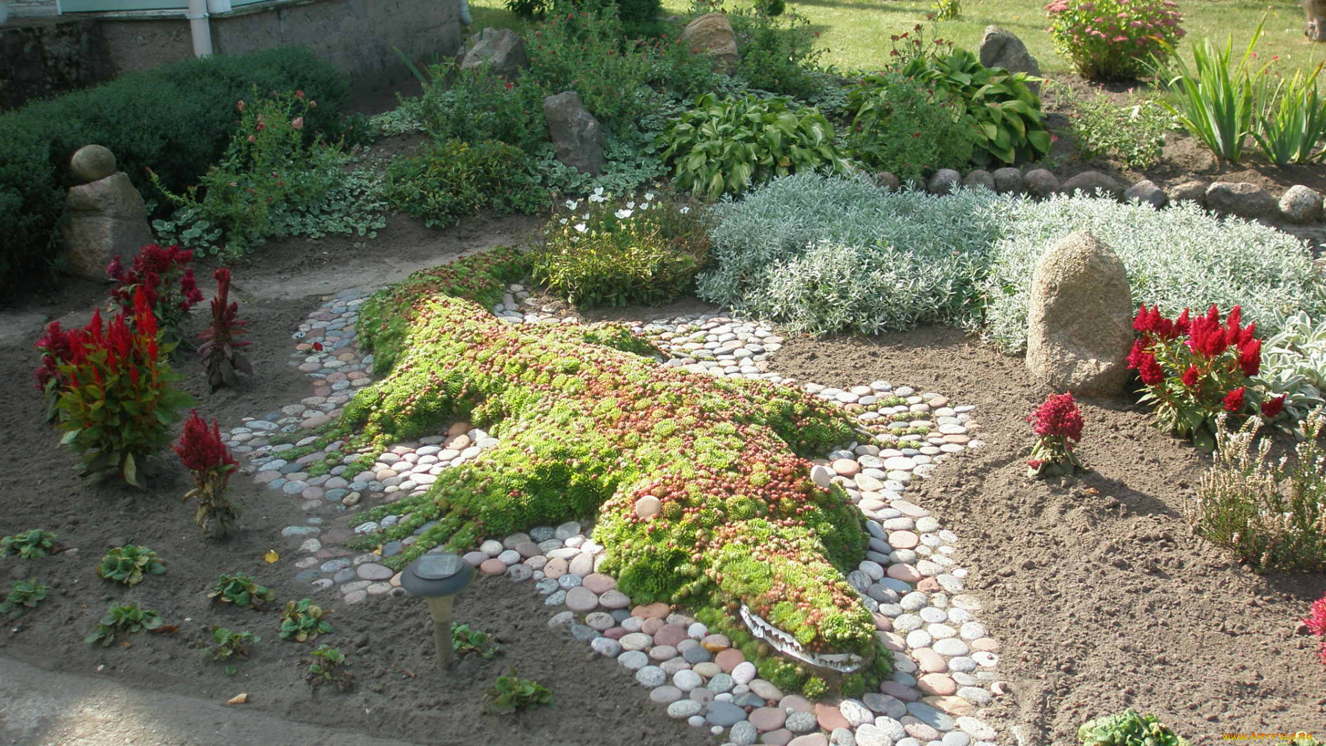 цветы, разные, вместе