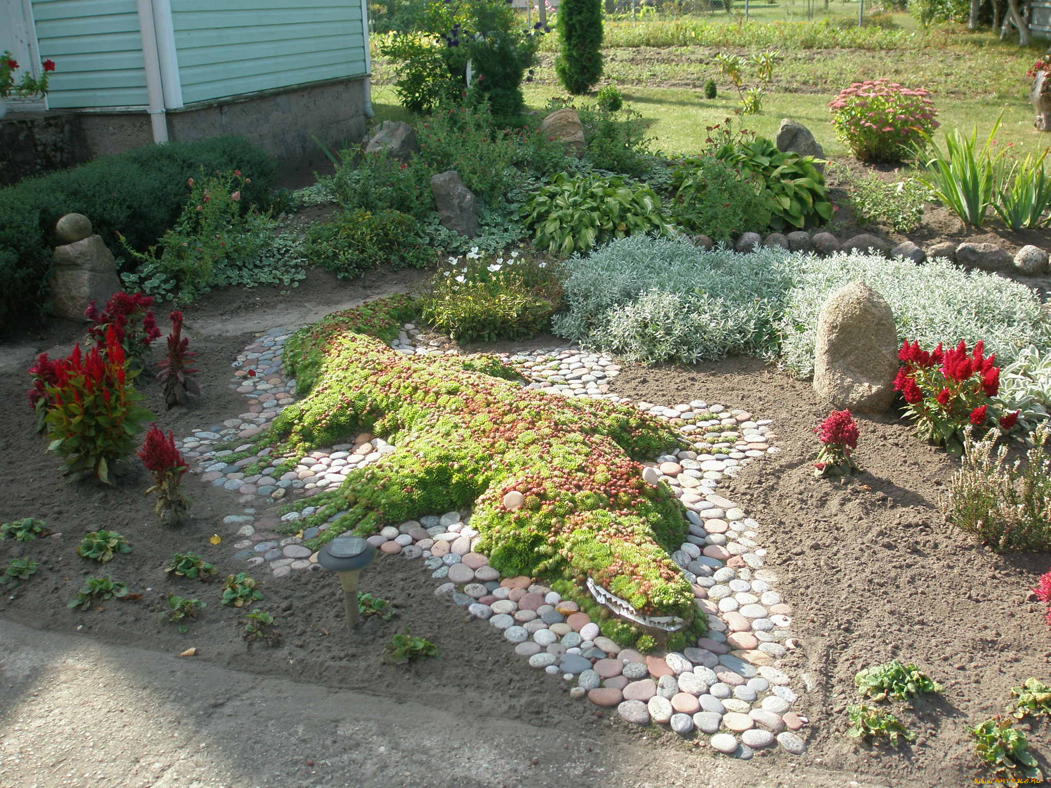 цветы, разные, вместе