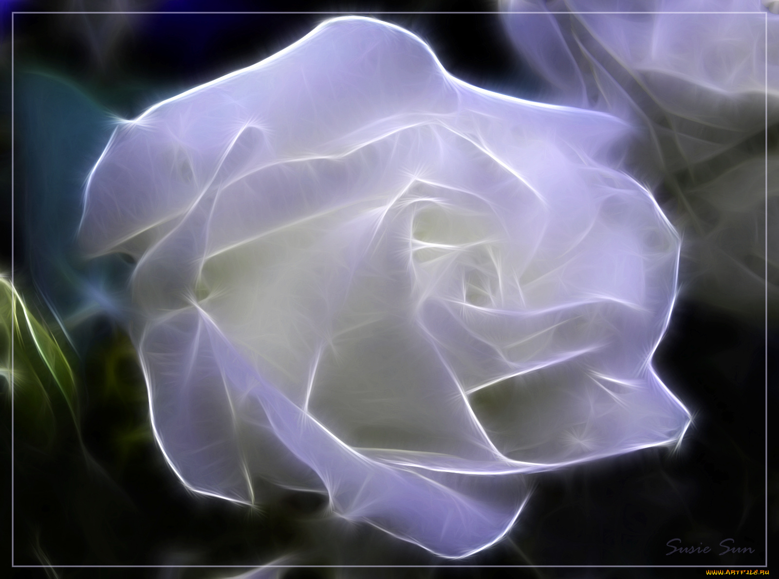 3д, графика, flowers, цветы, роза