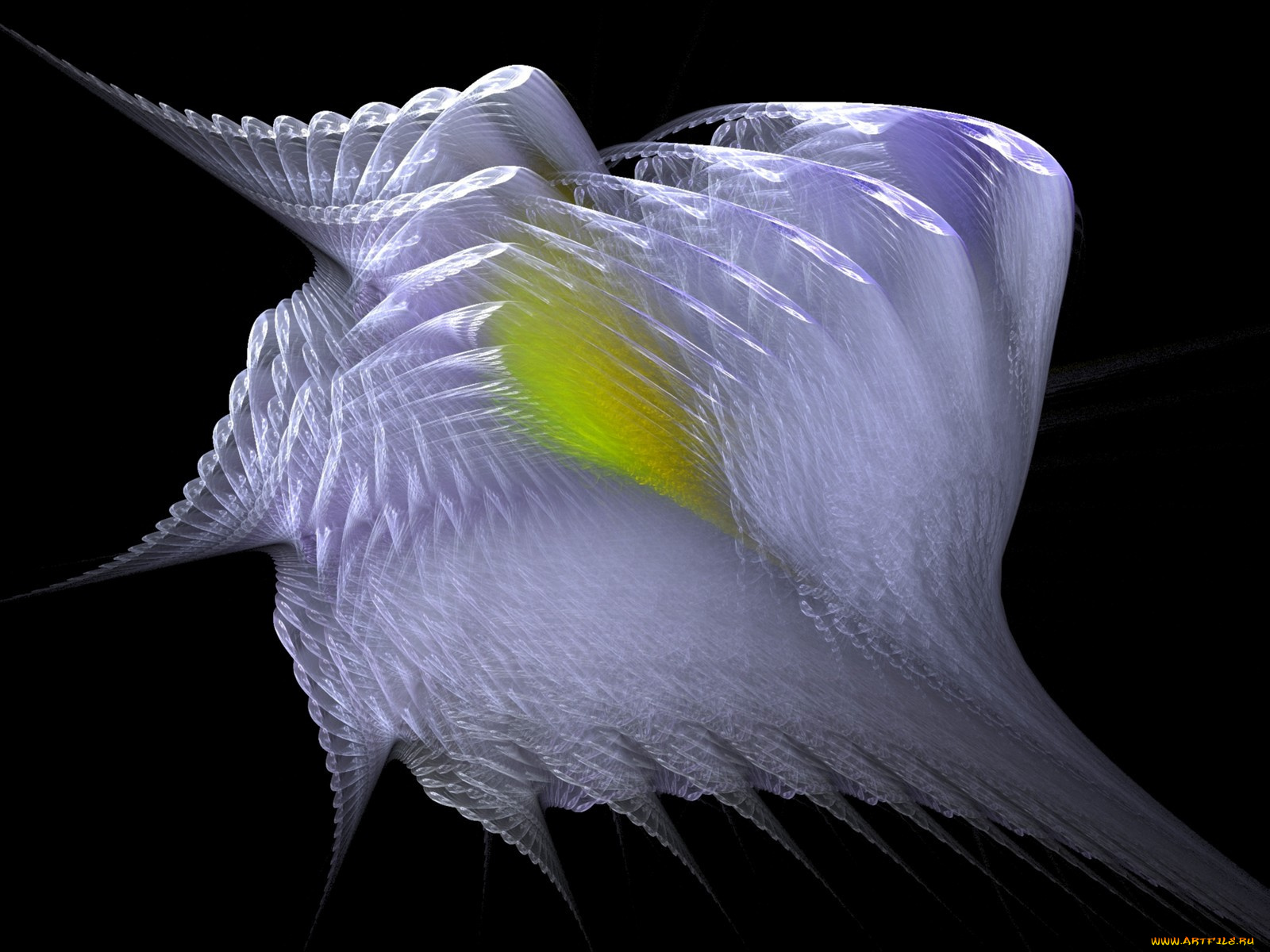 3д, графика, fractal, фракталы, узор, цвета, фон