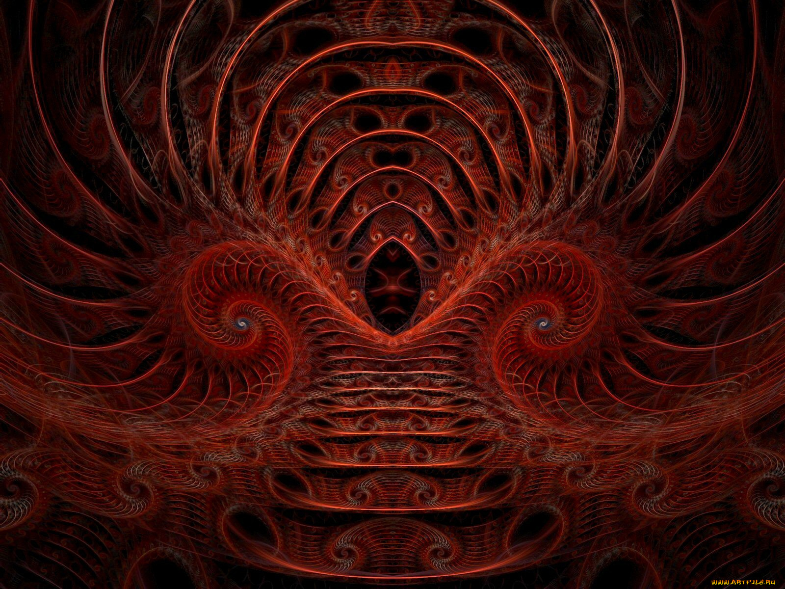3д, графика, fractal, фракталы, узор, цвета, фон