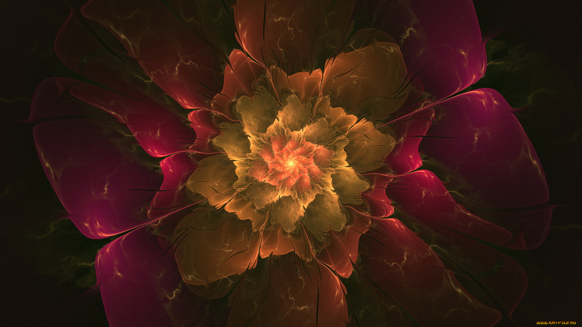 3д, графика, fractal, фракталы, фон, рисунок, линии