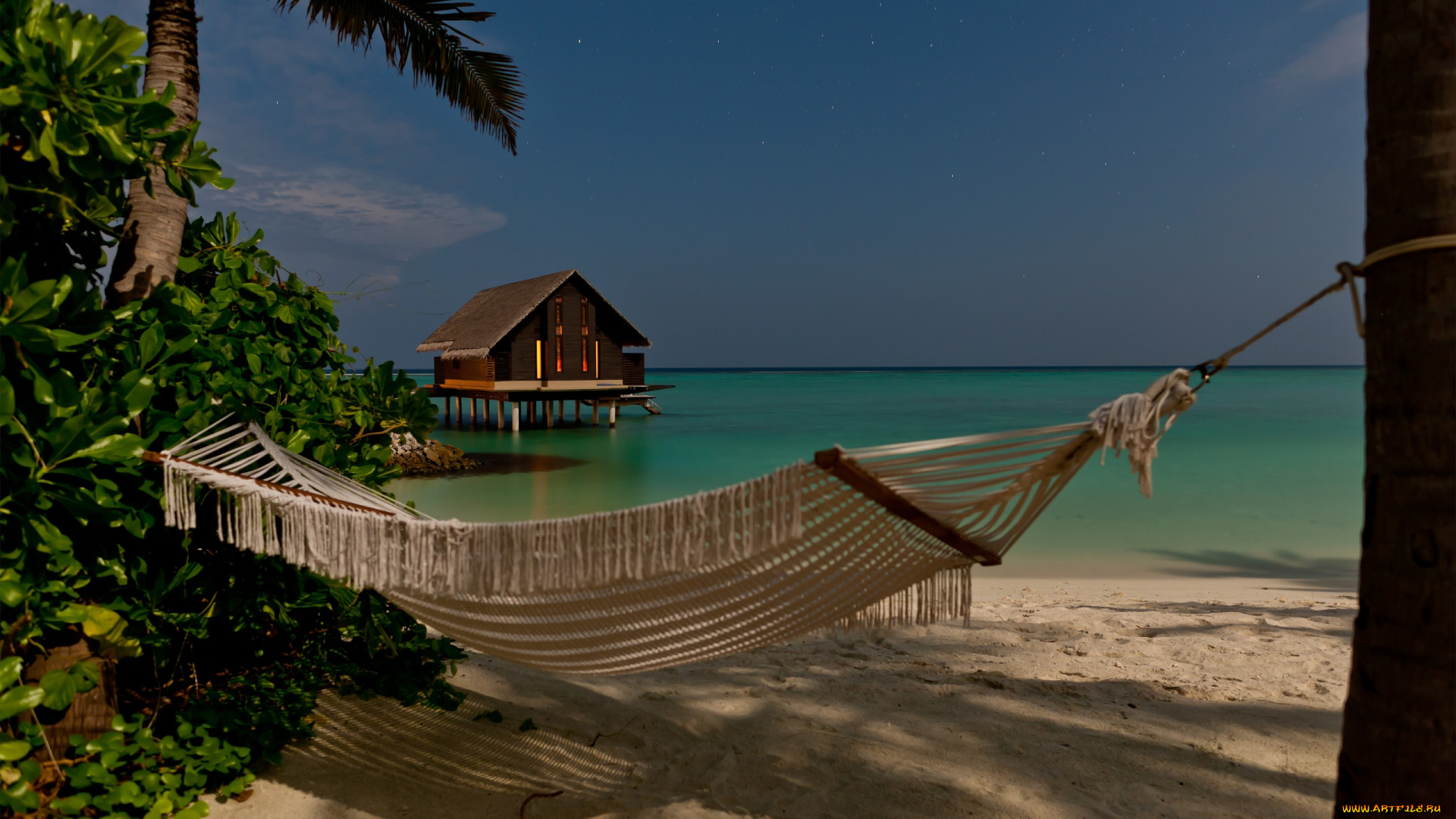 автор, сергей, доля, природа, тропики, мальдивы